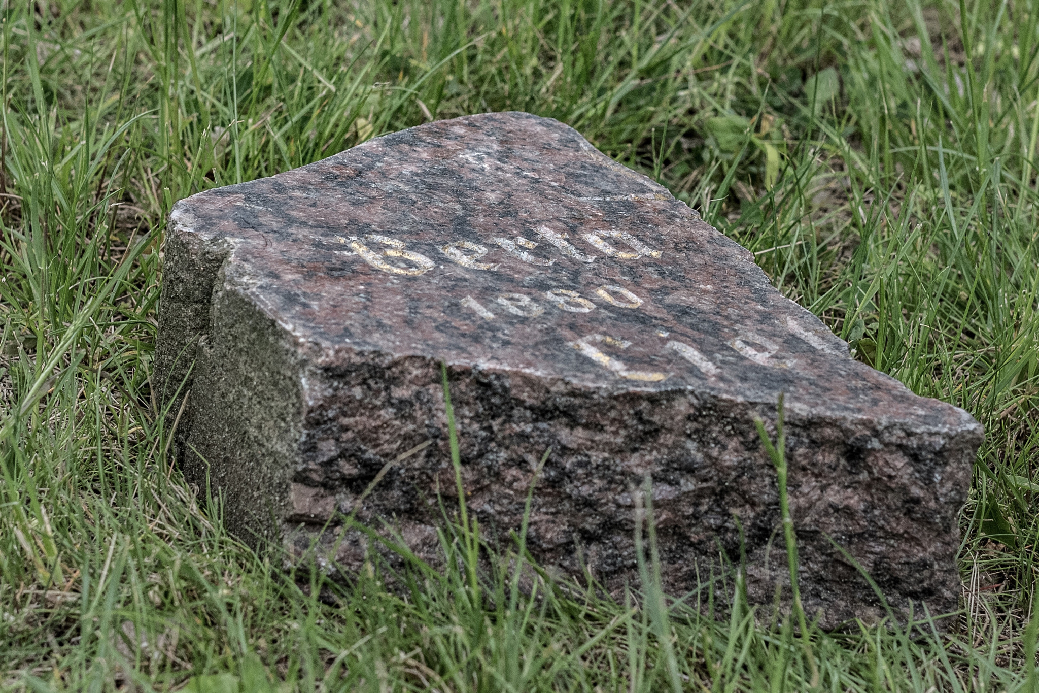 Canon EF 35mm F2 IS USM sample photo