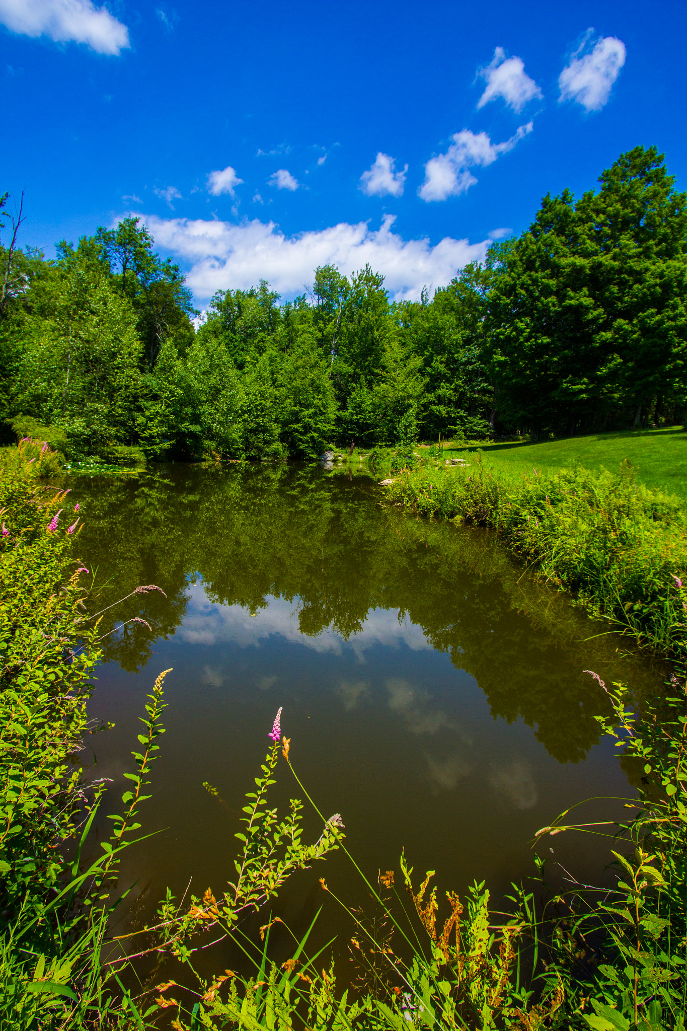Canon EF-S 10-22mm F3.5-4.5 USM sample photo. Reflections on a small pond photography