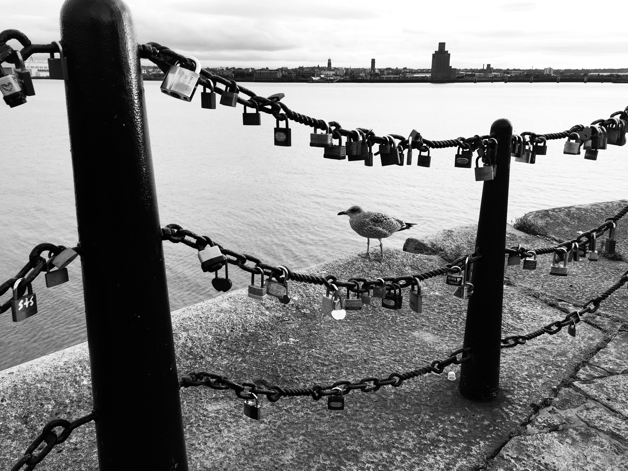 Blackie Camera sample photo. Liverpool photography