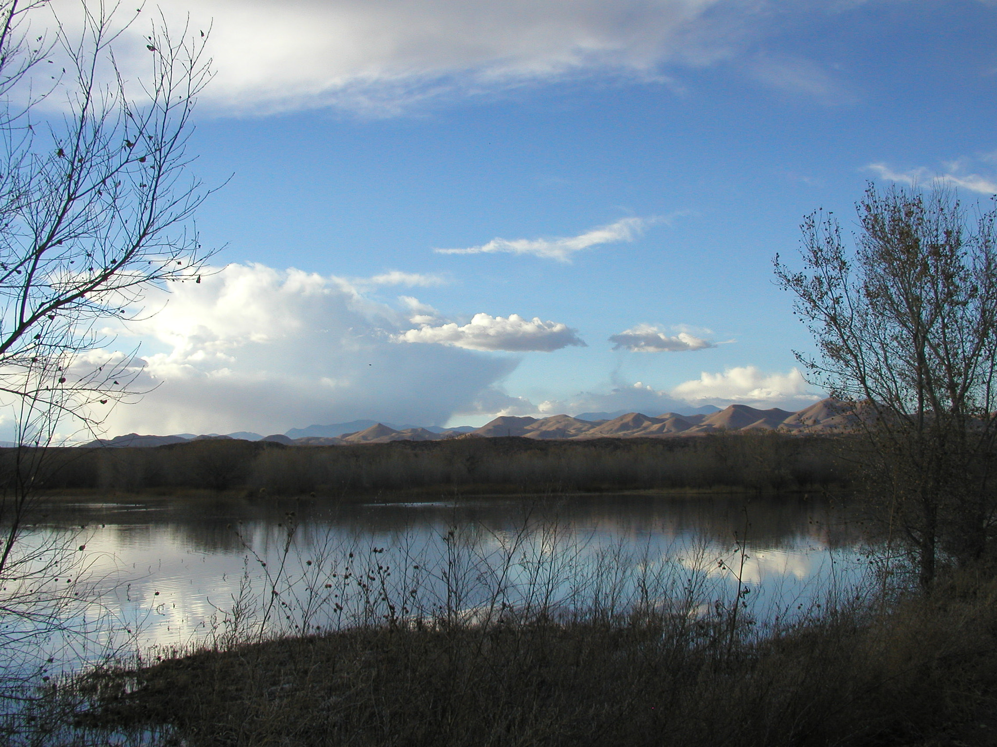 Olympus C4040Z sample photo. Heading south of albuquerque new mexico photography