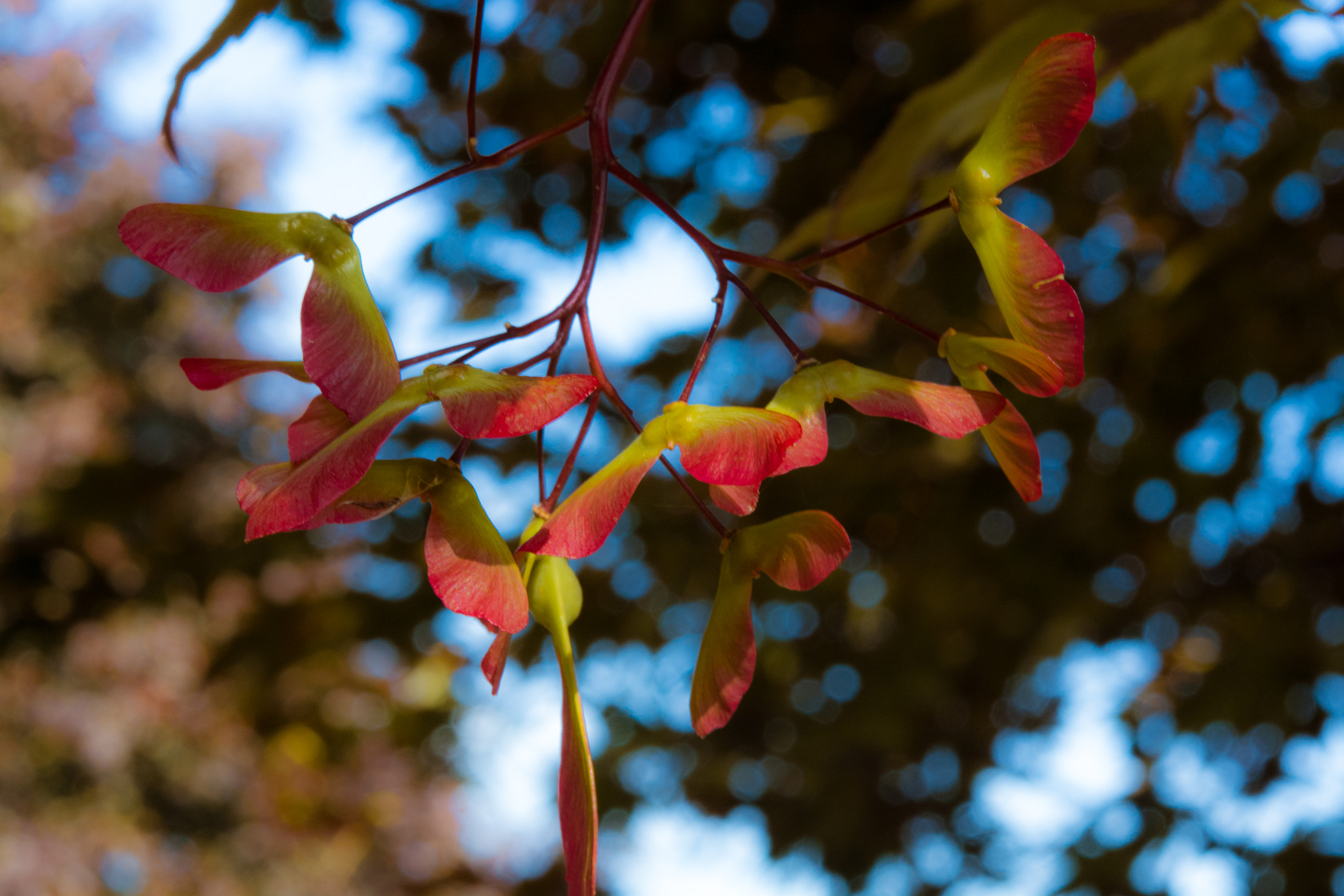 v2?sig=231f47423b41e832713cf4a031248e9d727ffb38ef0d5fb4d9746e5f76978807