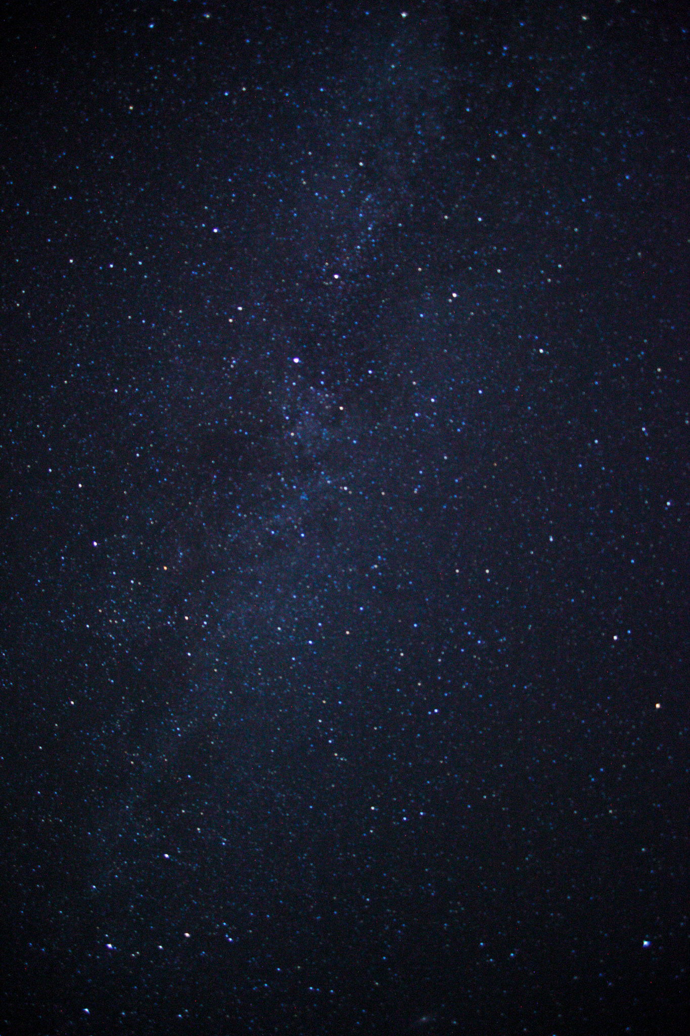 Canon EF 28-80mm f/3.5-5.6 USM sample photo. Orca photography