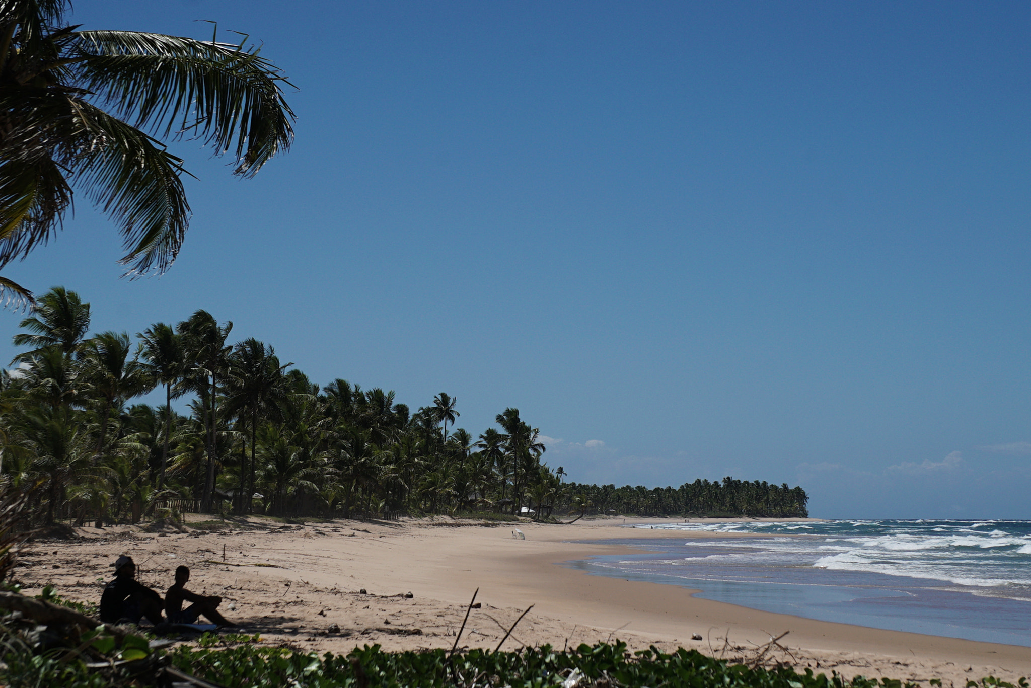 Sony a7S sample photo. Taipu de fora - bahia - brasil photography
