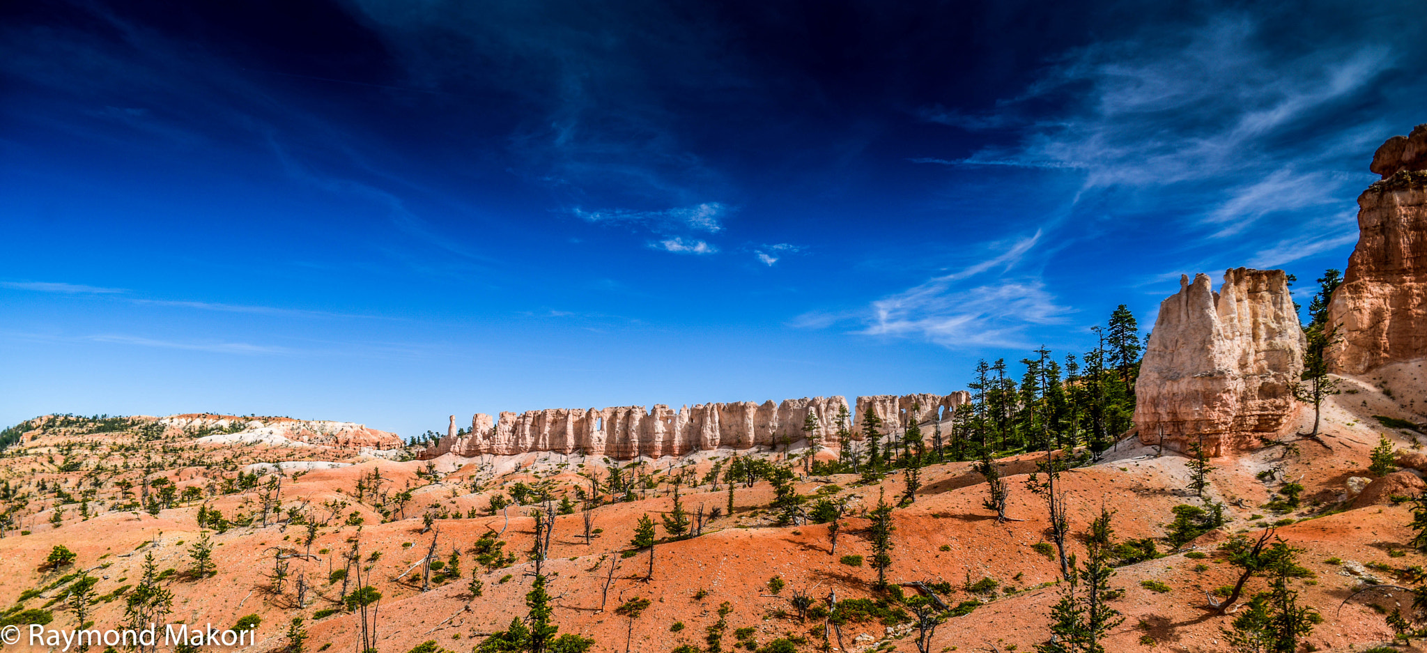 Nikon D810 + Nikon AF Nikkor 20mm F2.8D sample photo. Bryce national park photography