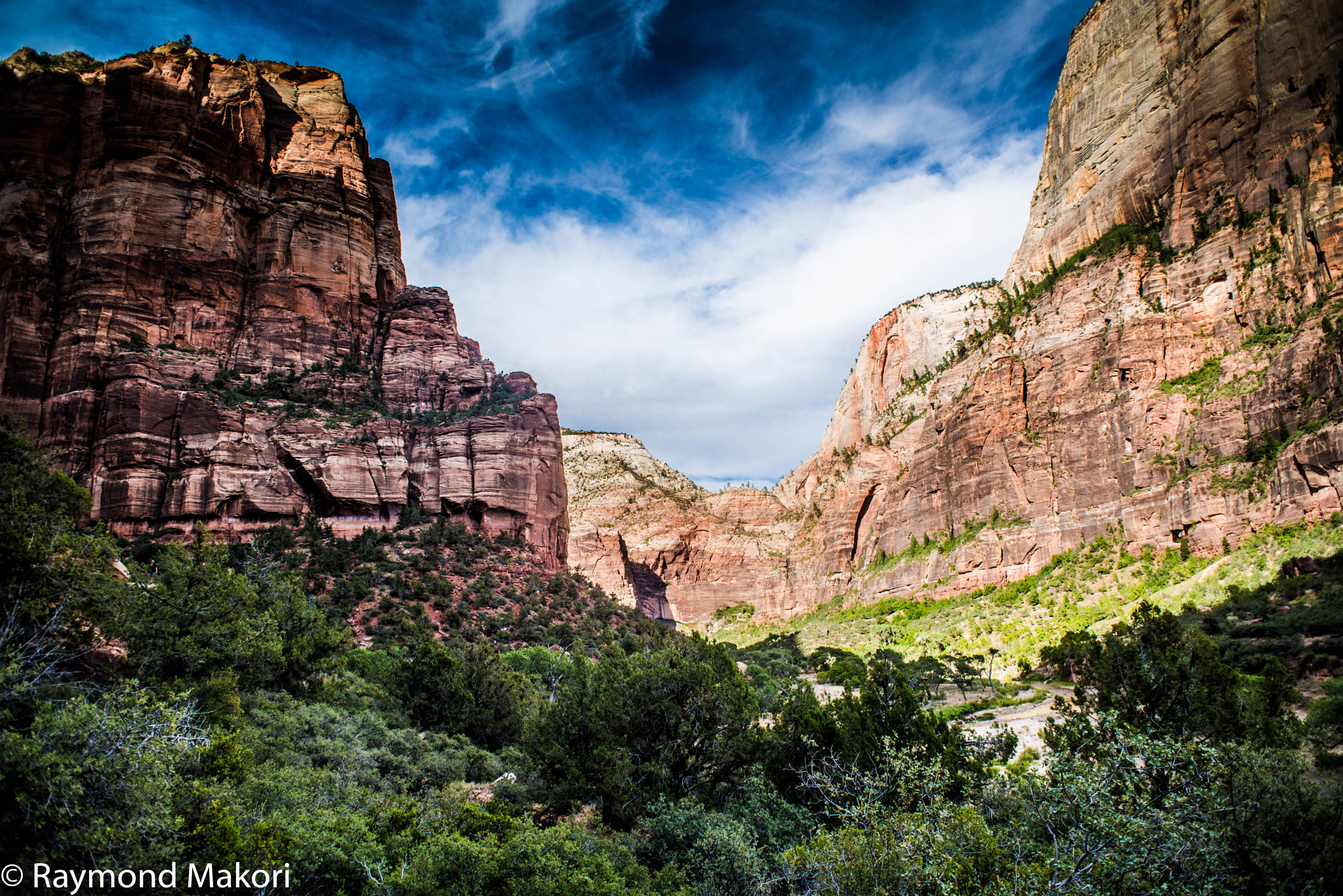 Nikon D810 + Nikon AF Nikkor 20mm F2.8D sample photo. Zion national park photography