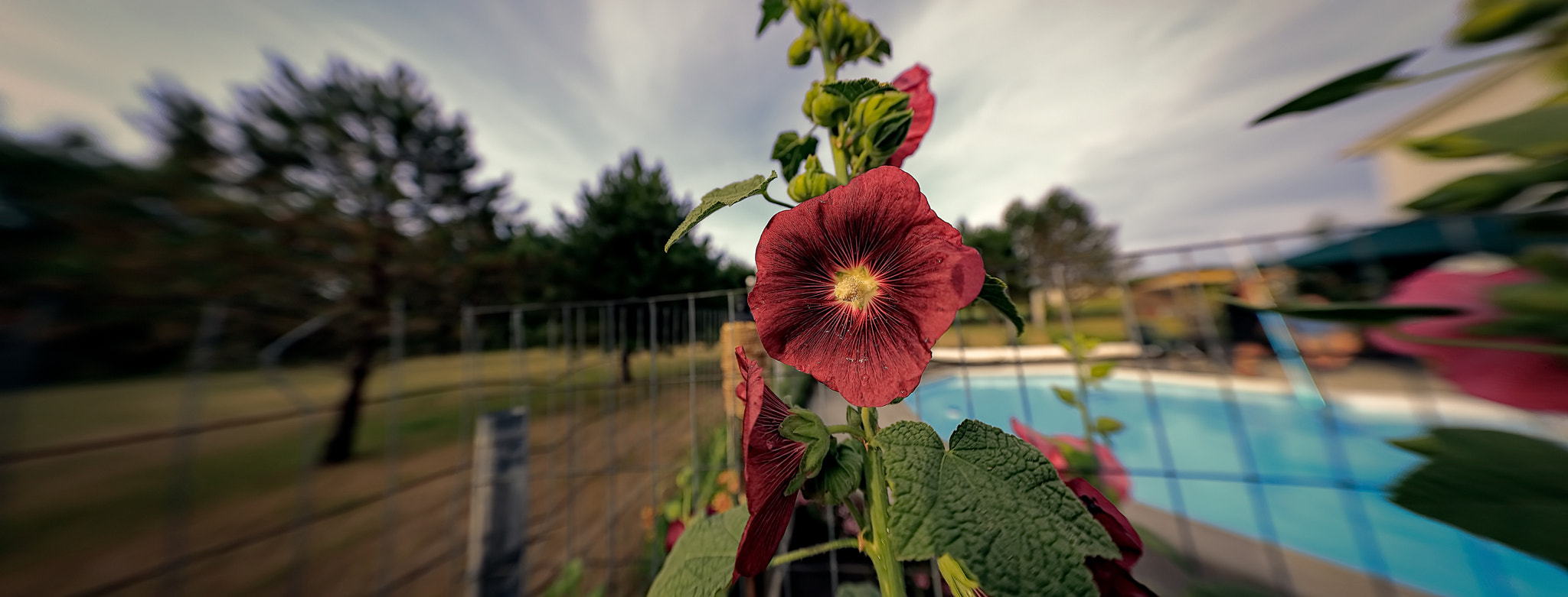 Canon EF 8-15mm F4L Fisheye USM sample photo. By the pool photography