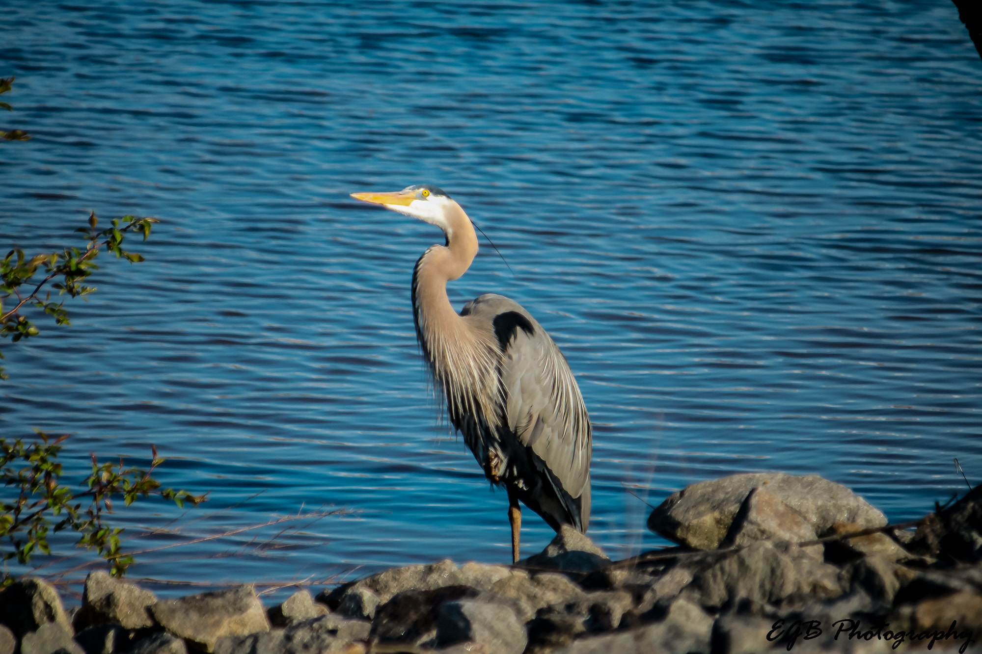 Canon EF-S 55-250mm F4-5.6 IS sample photo. The lookout photography
