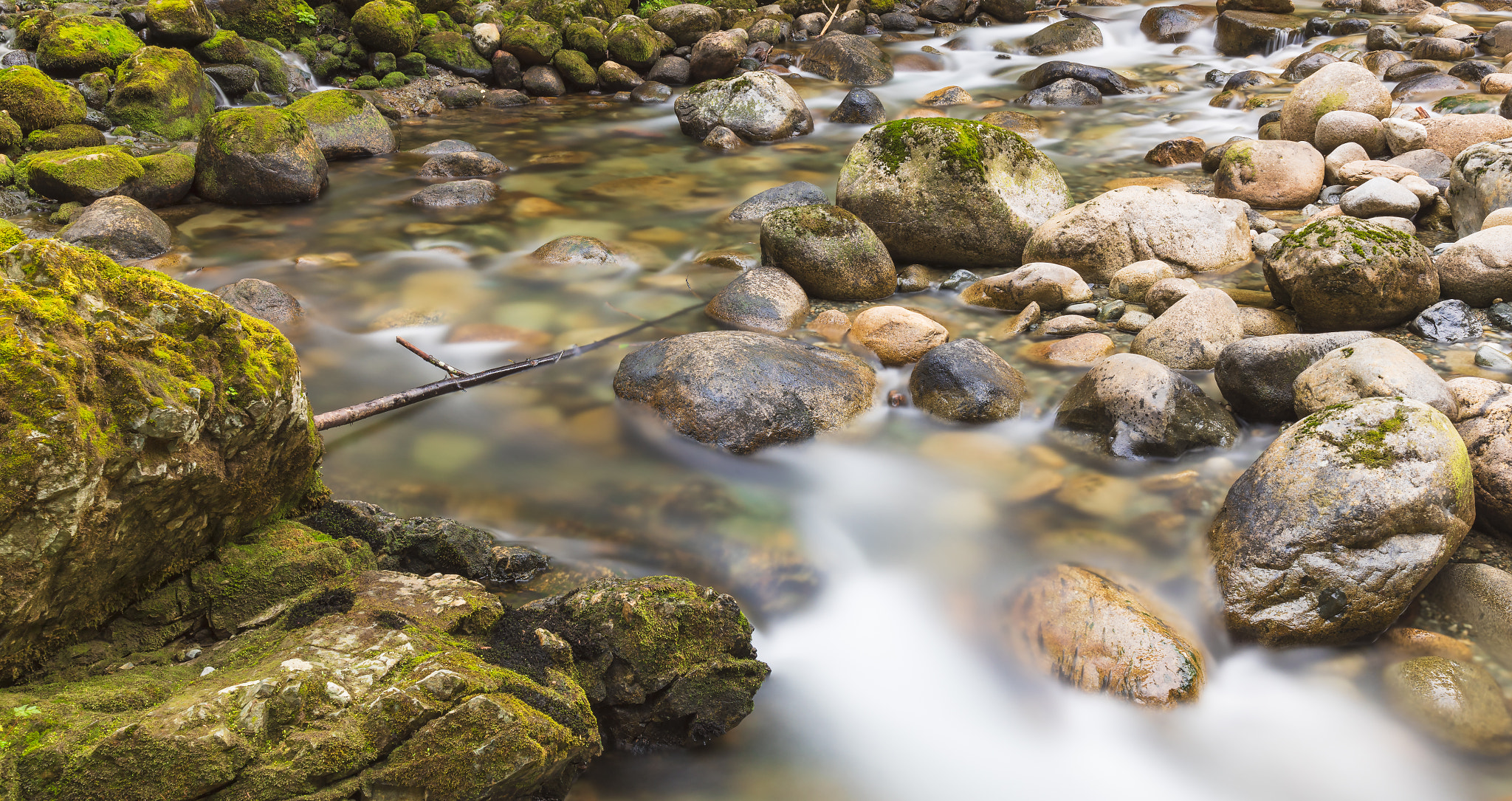 Canon EF 35mm F1.4L II USM sample photo. Lynn creek photography
