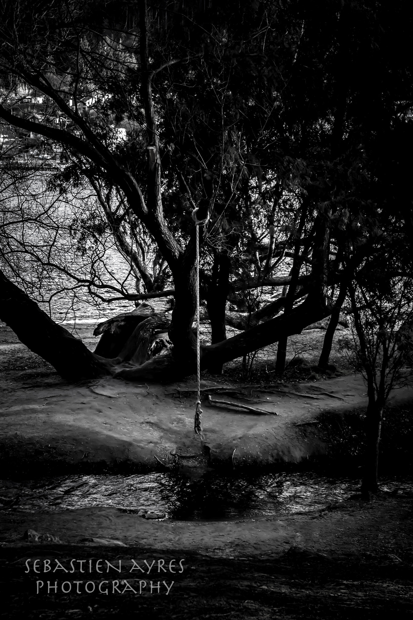 Pentax K-S2 sample photo. Rope photography