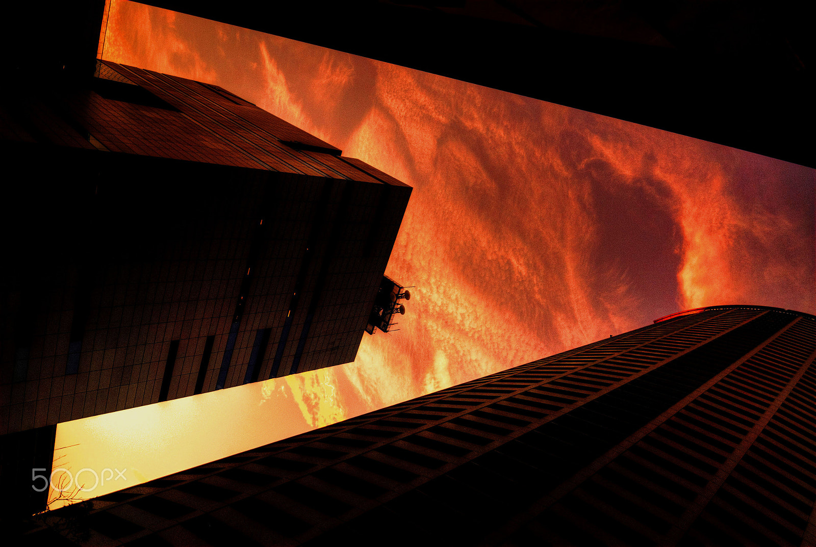 Nikon D200 sample photo. Osaka, look up at the night sky photography