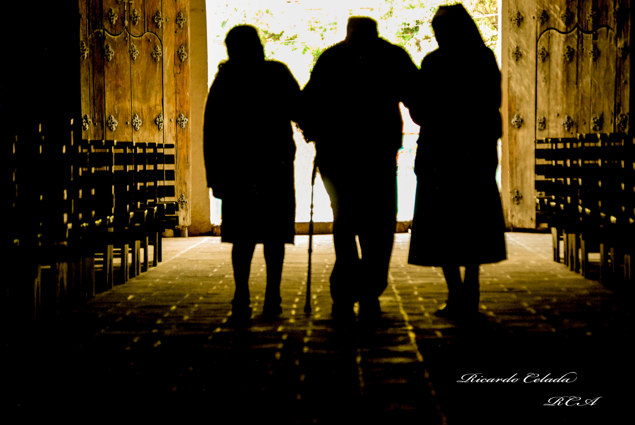 Nikon D40X sample photo. Fe photography