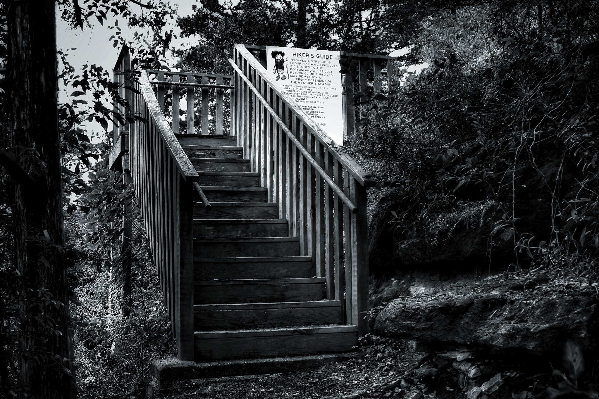 Canon EOS 1000D (EOS Digital Rebel XS / EOS Kiss F) + Tamron AF 28-200mm F3.8-5.6 XR Di Aspherical (IF) Macro sample photo. Wooden steps at lake forest trails photography