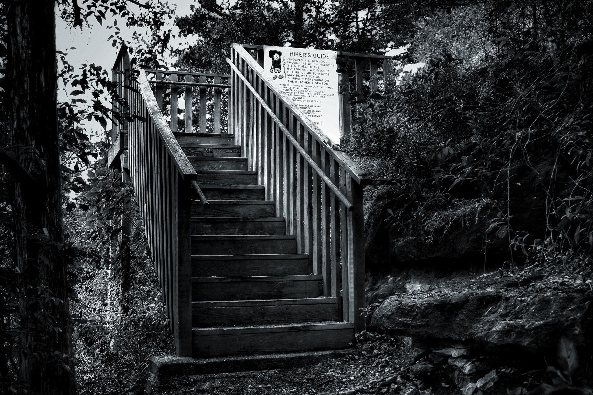 Tamron AF 28-200mm F3.8-5.6 XR Di Aspherical (IF) Macro sample photo. Wooden steps at lake forest trails photography
