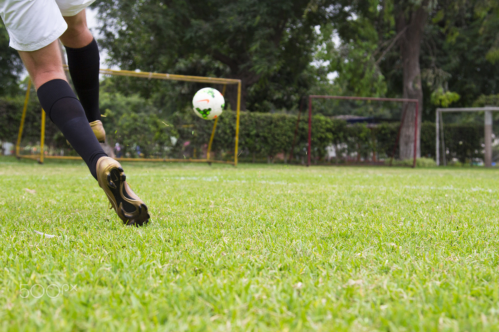 Canon EOS 650D (EOS Rebel T4i / EOS Kiss X6i) sample photo. Liga premier photography
