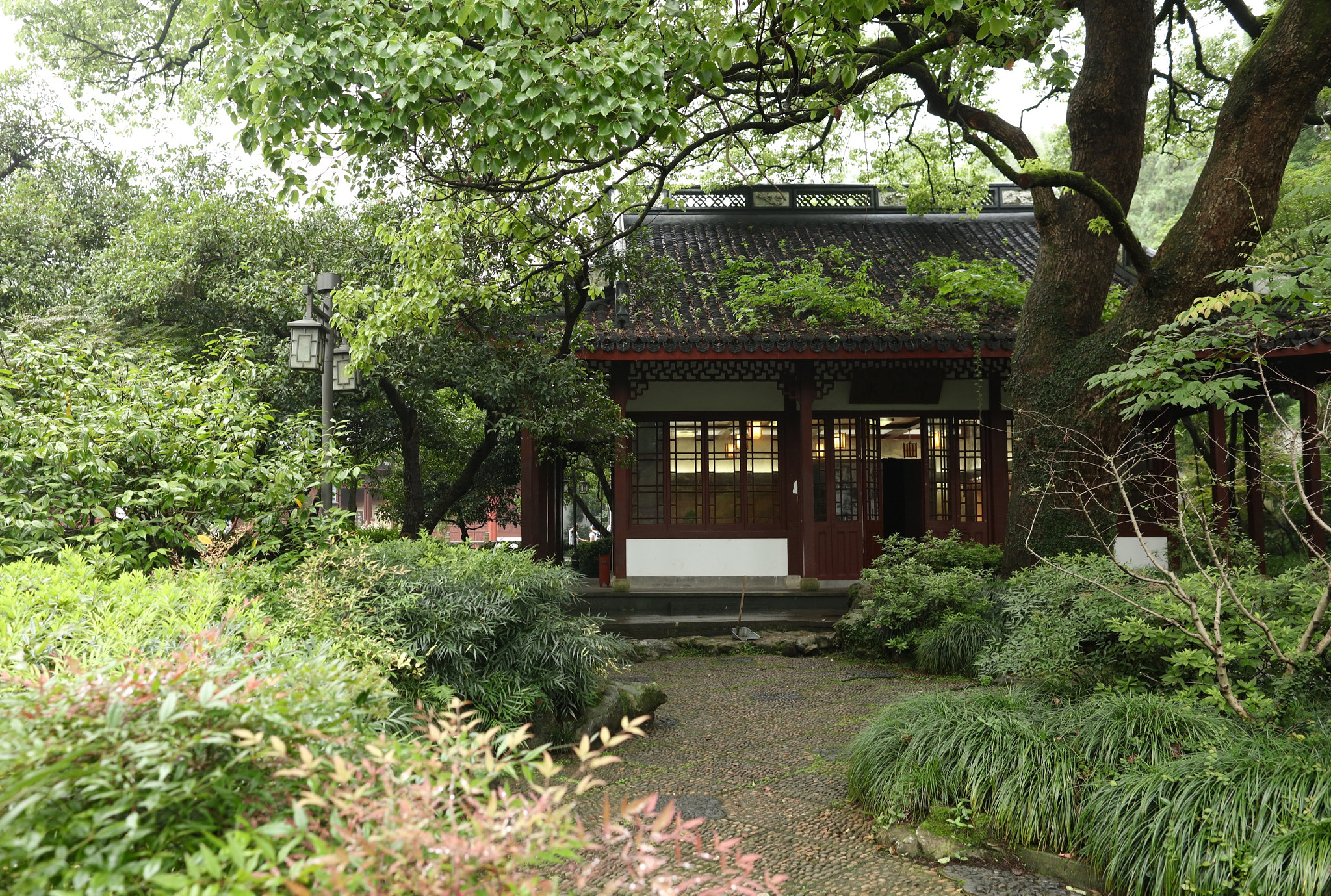 Canon EF 24mm F1.4L II USM sample photo. Zenの楼 photography