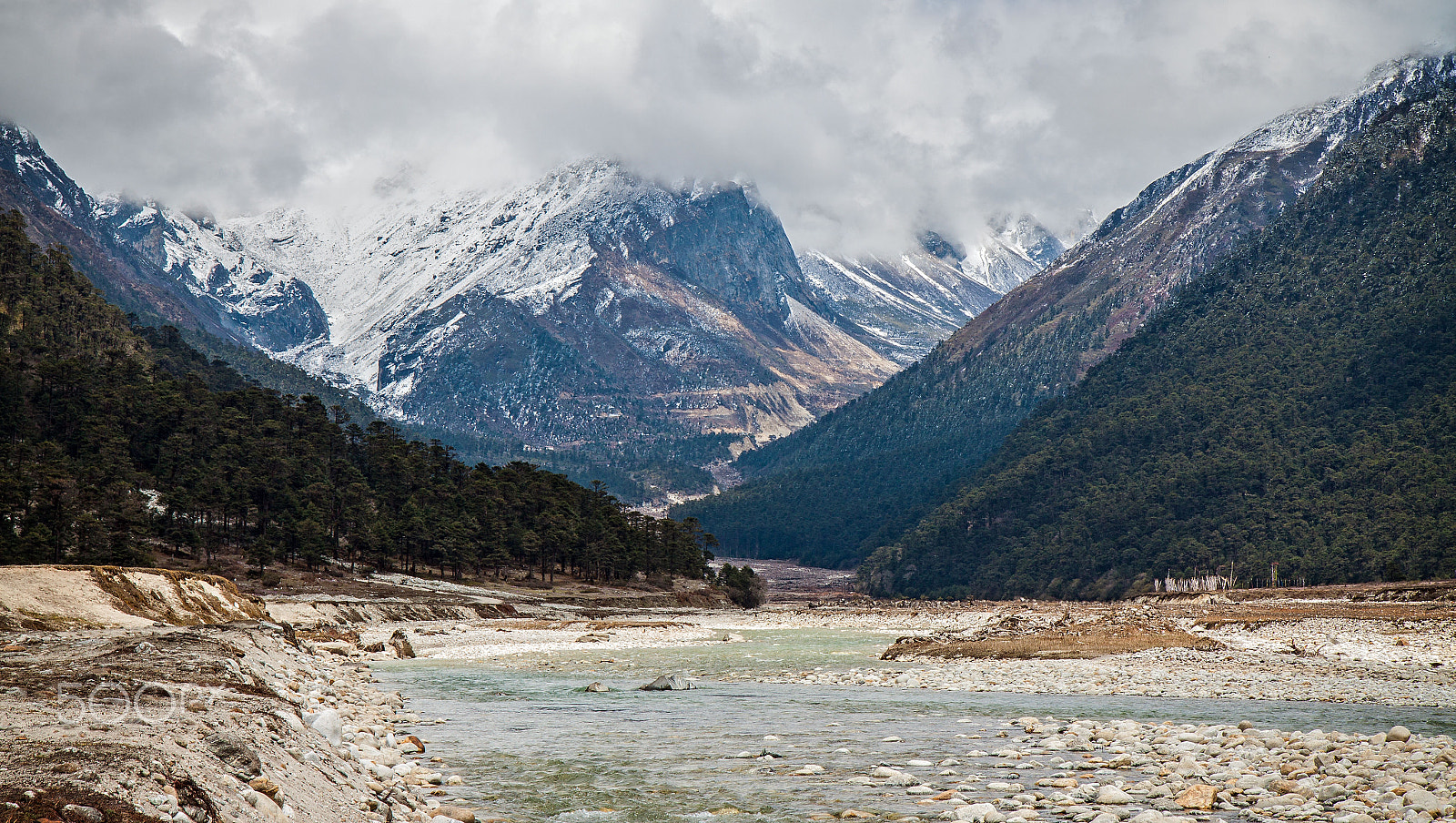Canon EOS 500D (EOS Rebel T1i / EOS Kiss X3) sample photo. Snow melts life flows photography
