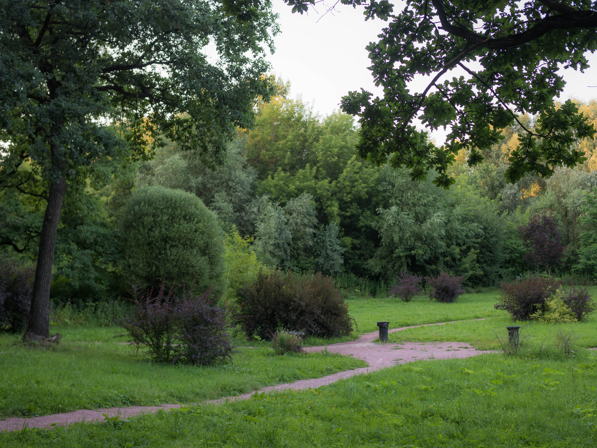 Panasonic Lumix DMC-GH4 + Olympus M.Zuiko Digital 25mm F1.8 sample photo. Footpath in a moscow botanical garden photography