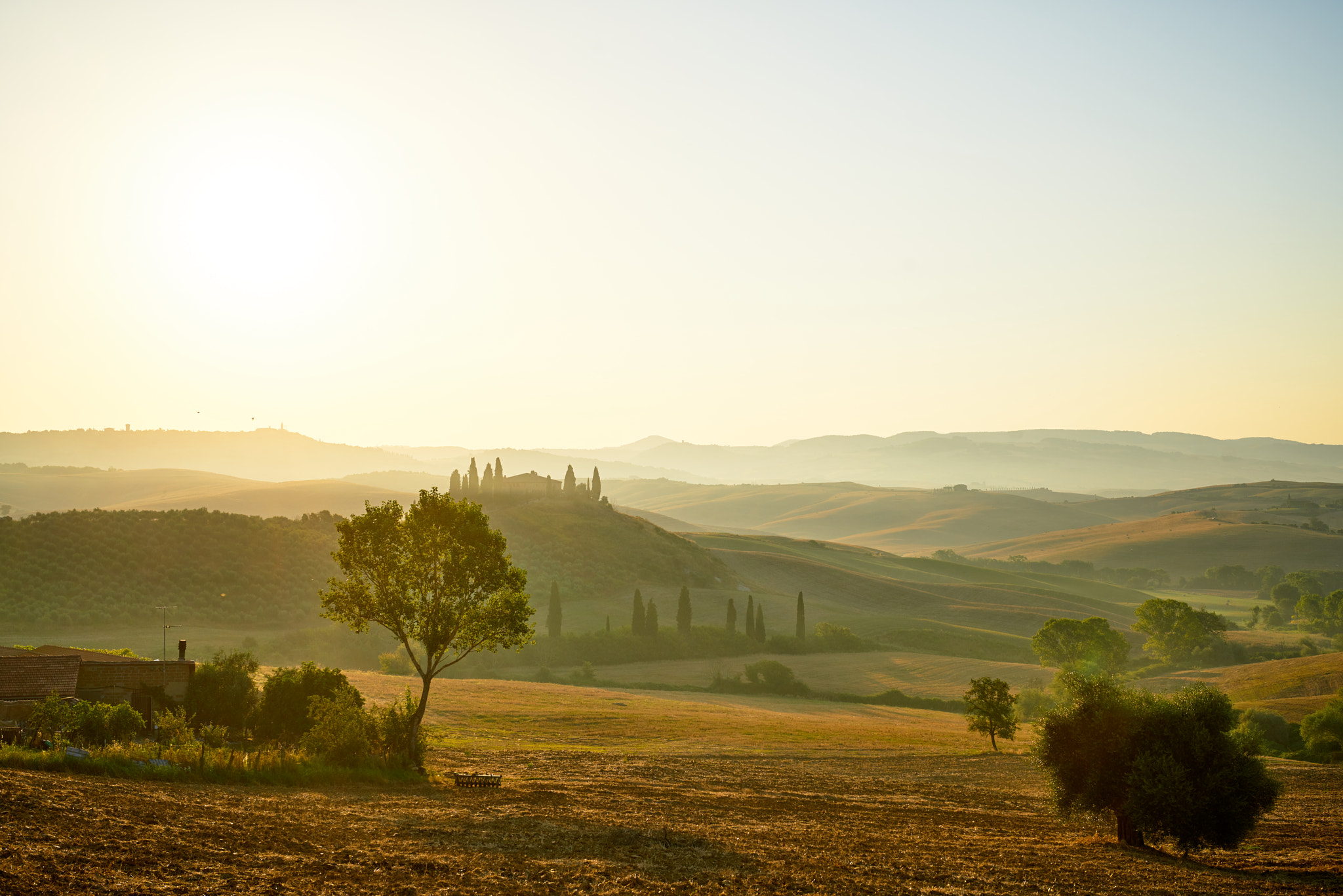 Sony Planar T* 50mm F1.4 ZA SSM sample photo. Sanquirico val d'orcia photography