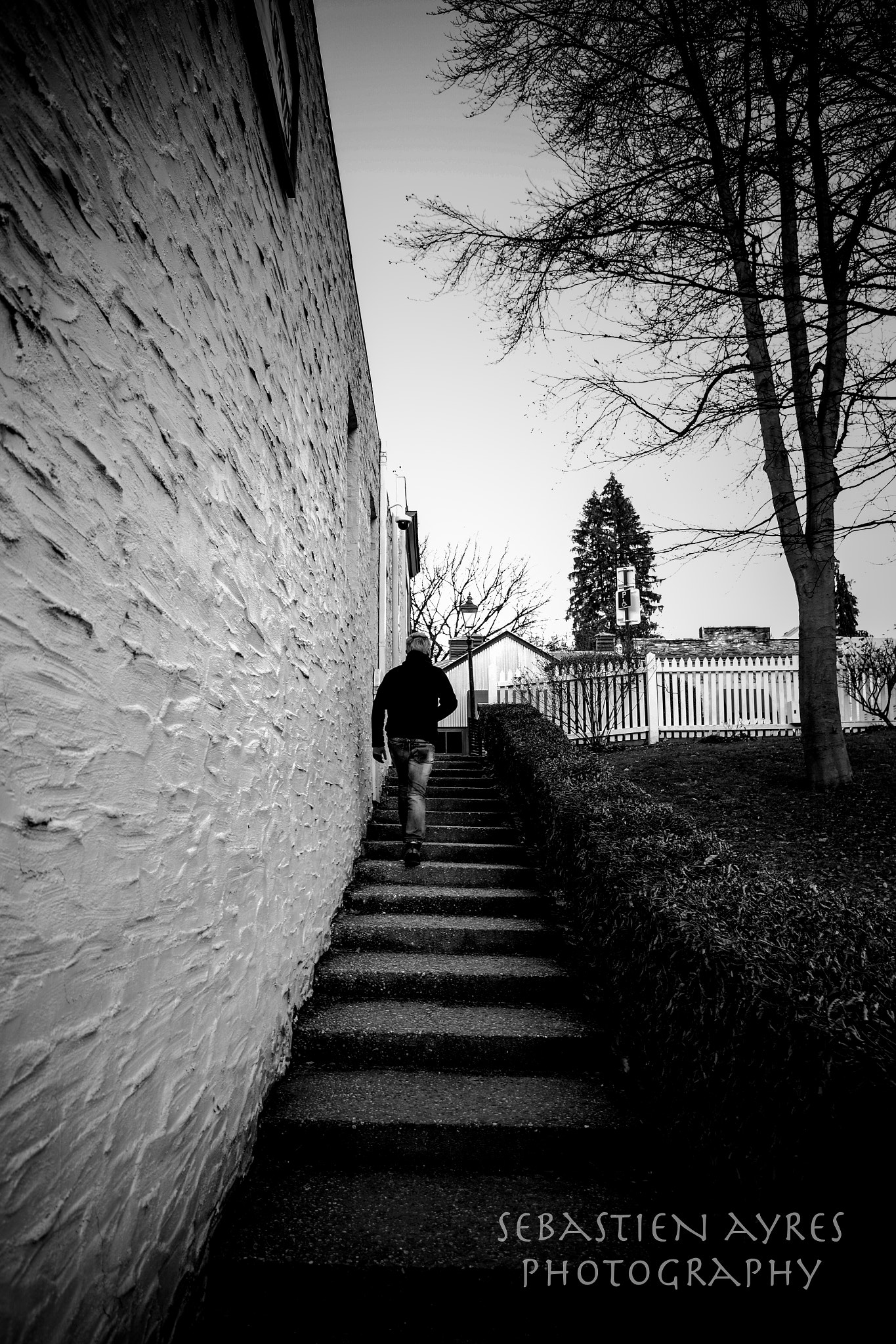 Pentax K-S2 sample photo. Ascending photography