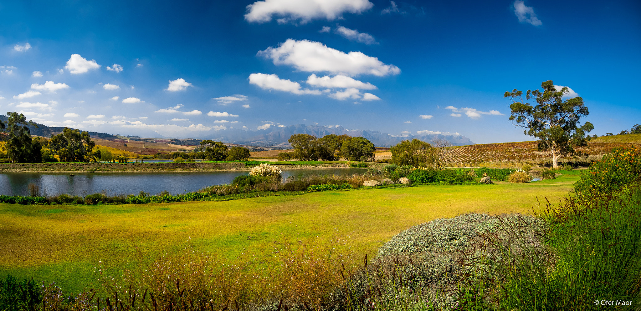 Olympus OM-D E-M1 + OLYMPUS M.9-18mm F4.0-5.6 sample photo. Stellenbosch wine country photography