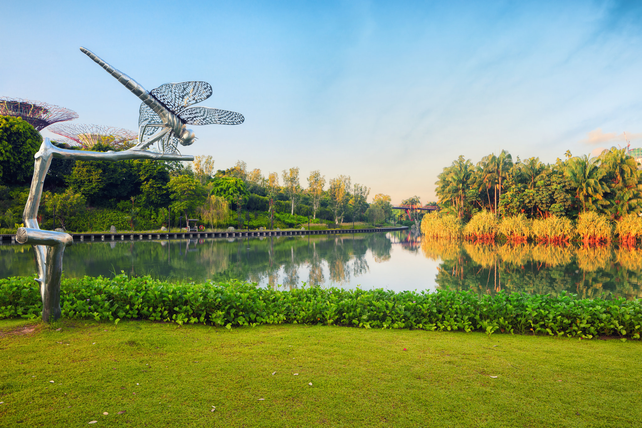 Canon EOS 5DS R sample photo. Gardens by the bay at sunrise photography