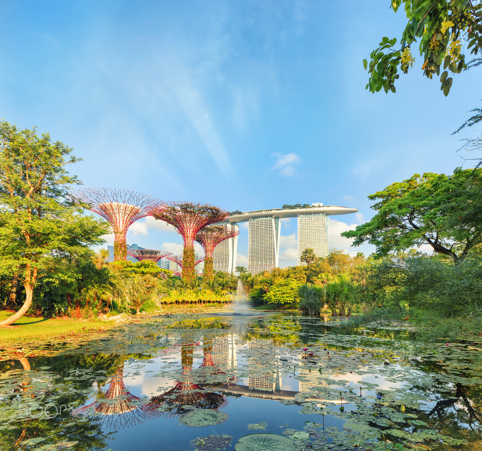 Canon TS-E 24.0mm f/3.5 L II sample photo. Supertree grove at sunrise photography