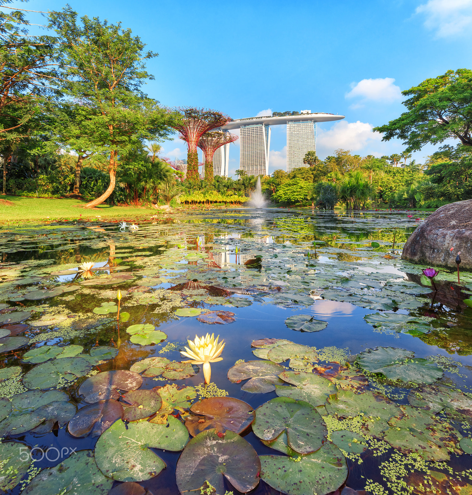 Canon TS-E 24.0mm f/3.5 L II sample photo. Supertree grove at sunrise photography