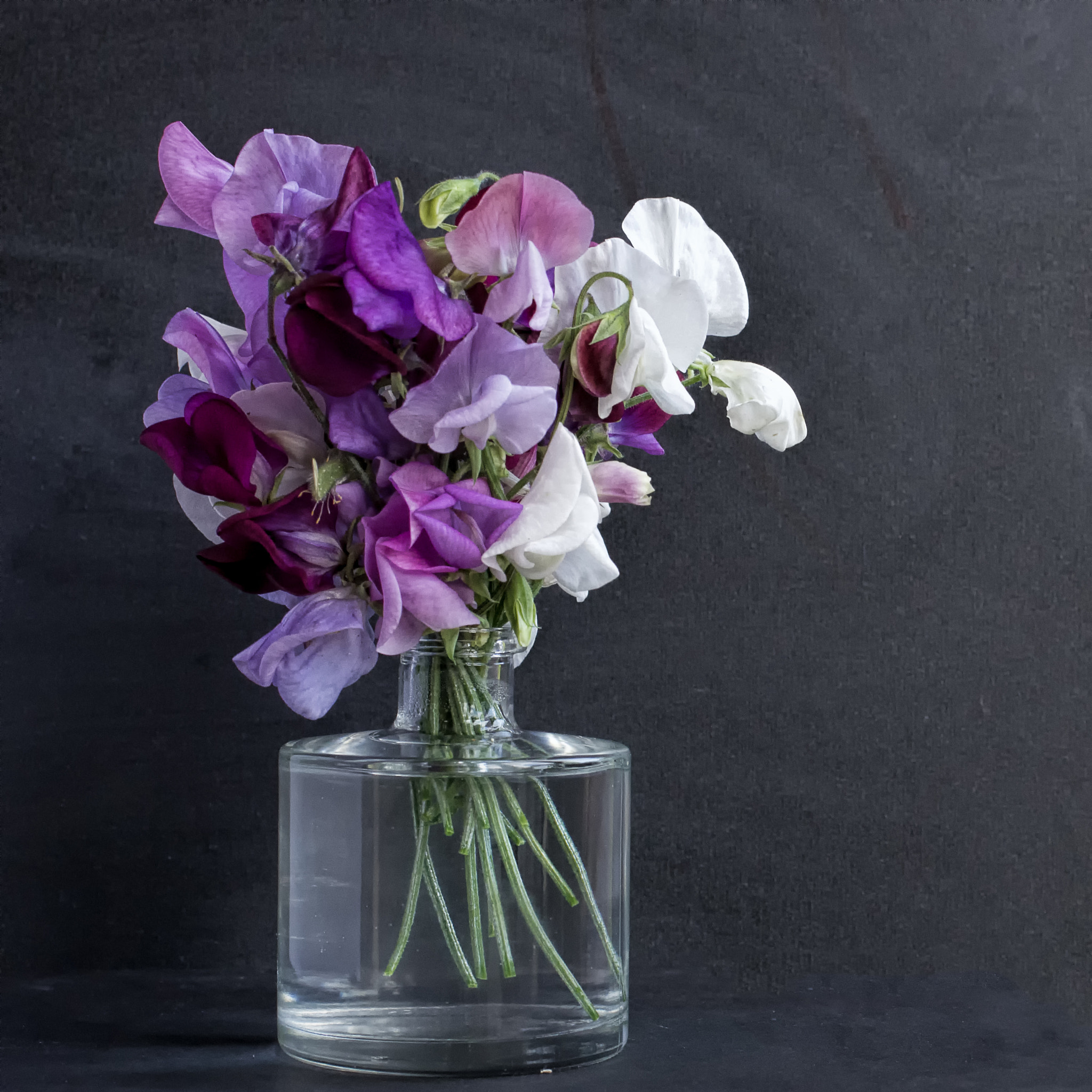 Pentax K-5 + smc PENTAX-F MACRO 50mm F2.8 sample photo. Caleb and livvy's sweet peas photography