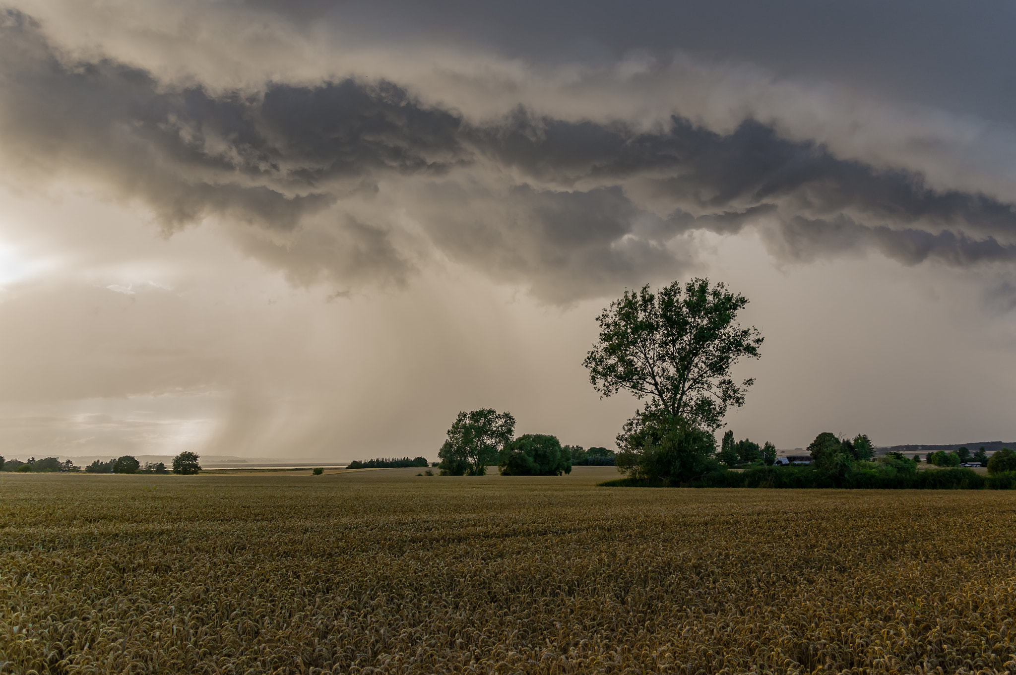 Sony SLT-A55 (SLT-A55V) + Sigma 17-70mm F2.8-4 DC Macro HSM sample photo. Wild weather ii photography