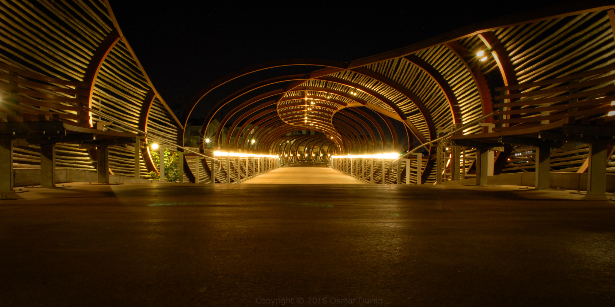 Nikon D200 sample photo. Golden shapes photography