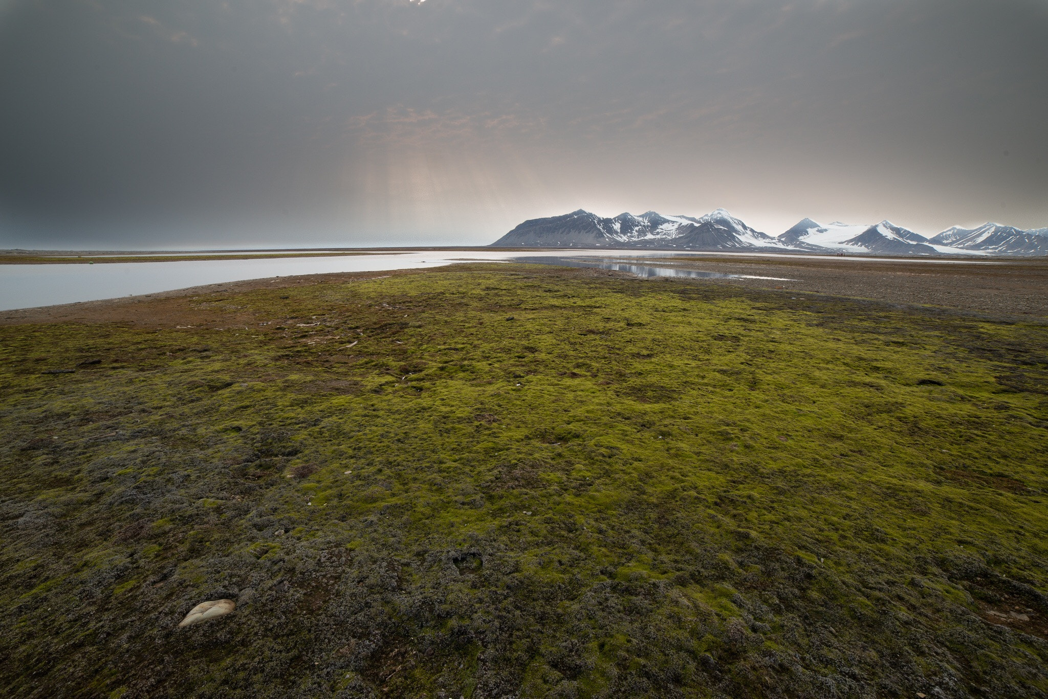 Nikon D800E + Samyang 14mm F2.8 ED AS IF UMC sample photo. Svalbard - north pole, arctica photography