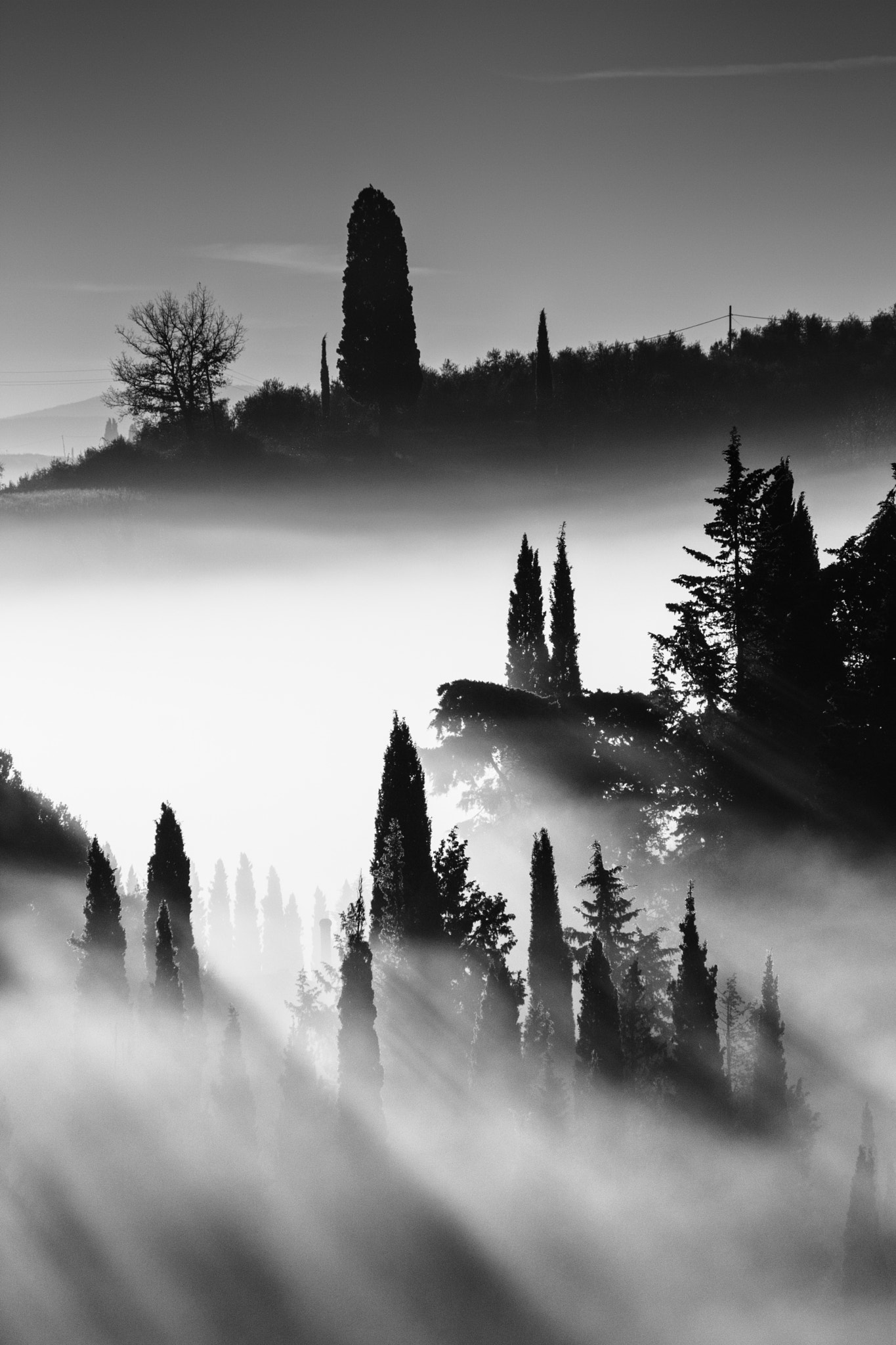 Canon EF-S 55-250mm F4-5.6 IS sample photo. Buongiorno in bianco e nero photography