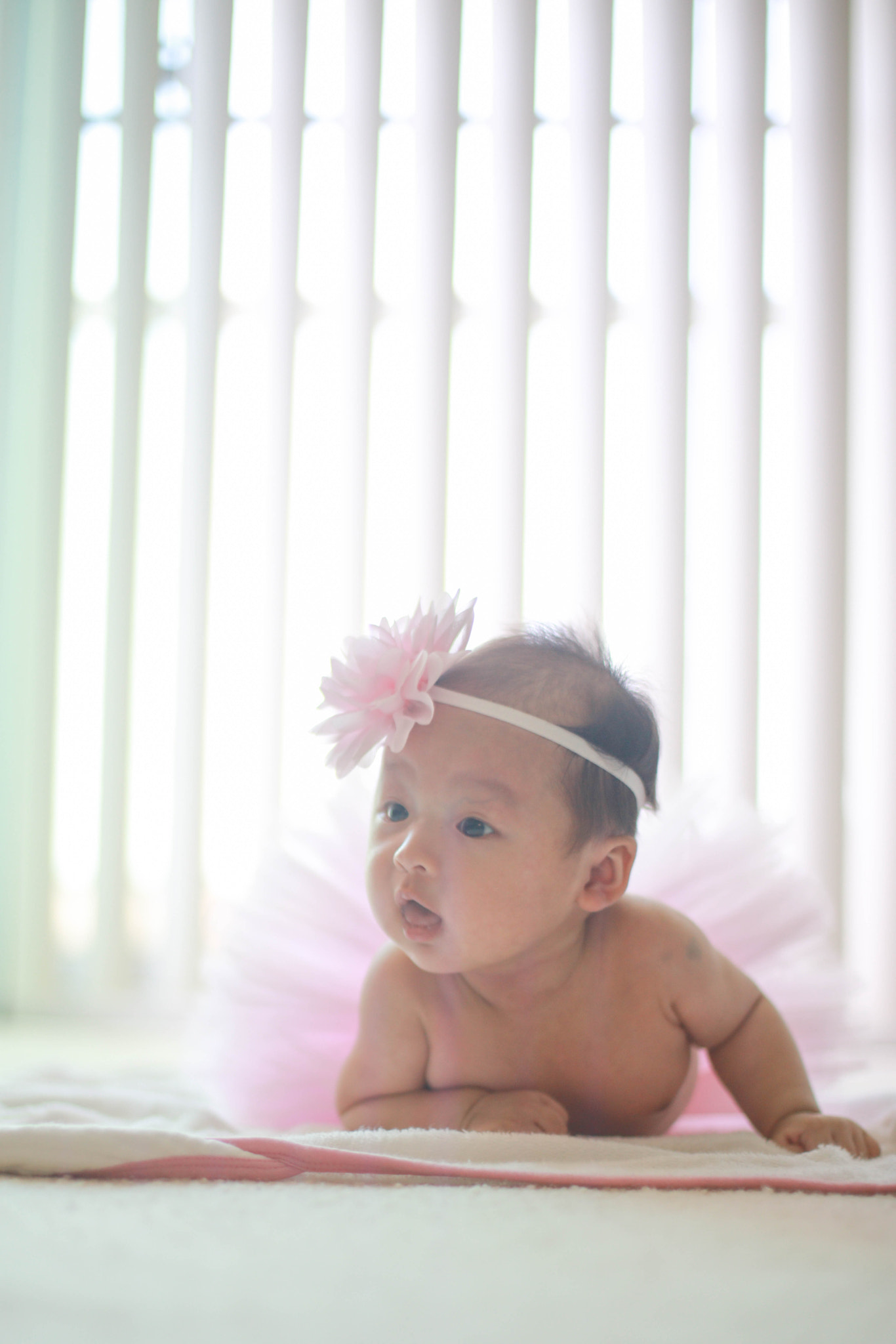 Canon EF 50mm F1.4 USM sample photo. 153a3499.jpg photography