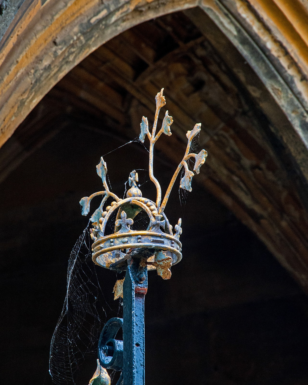 Nikon D3 sample photo. The faded crown photography