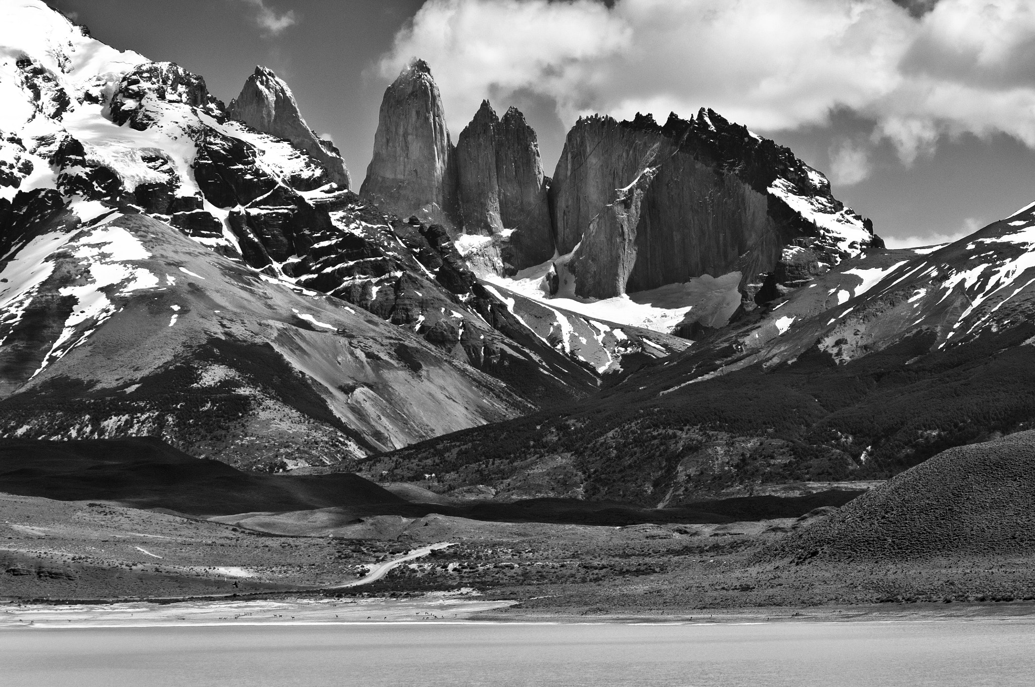 Nikon D2Xs sample photo. Torres del paine - landscape in bw photography