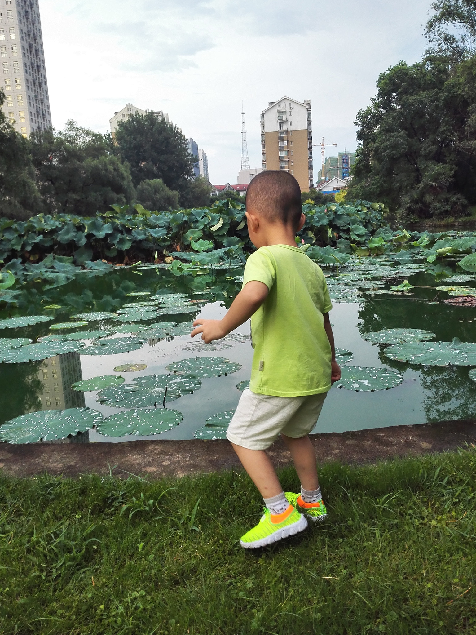 HUAWEI PE-TL20 sample photo. A child standing at a lotus pool and looking at the water photography