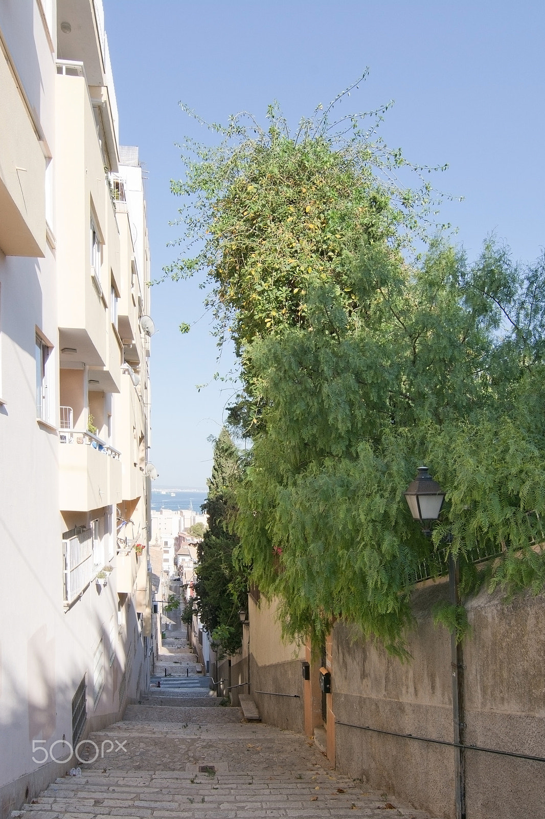 AF Zoom-Nikkor 28-100mm f/3.5-5.6G sample photo. El terreno street view photography