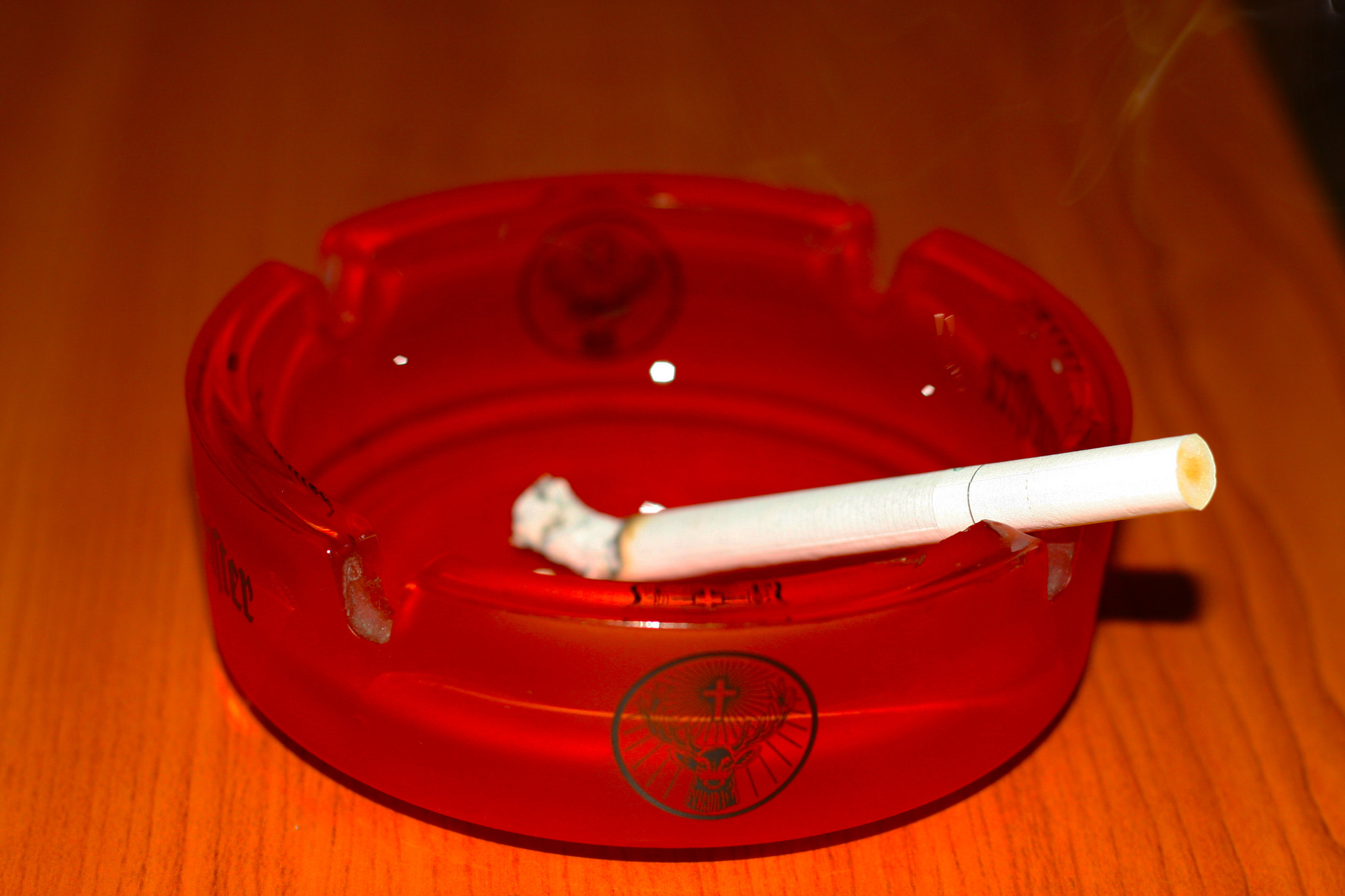 Canon EOS 40D + Canon EF 50mm F1.8 II sample photo. Ashtray photography