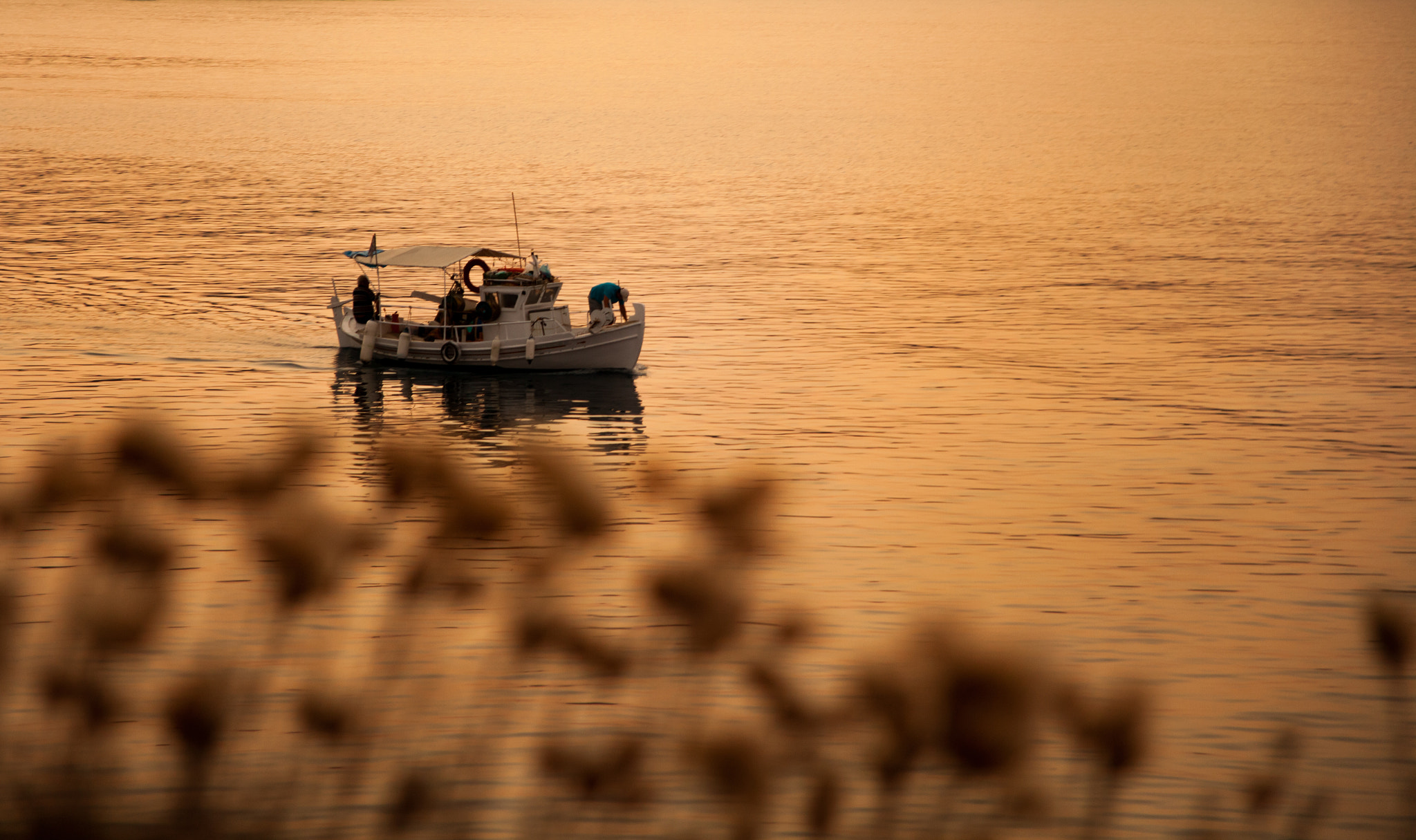 Canon EF 24-85mm F3.5-4.5 USM sample photo. Golden water photography