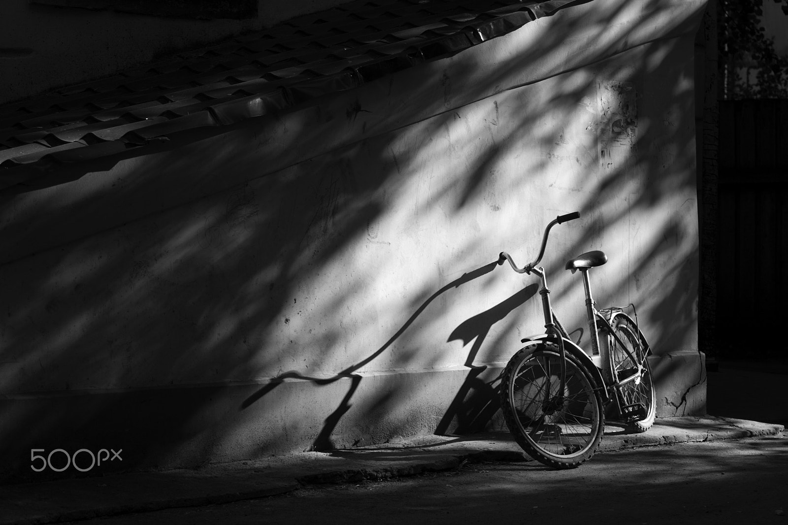 Canon EOS-1D Mark II N sample photo. Bike standing in the courtyard at the wall, lit by the rays of t photography