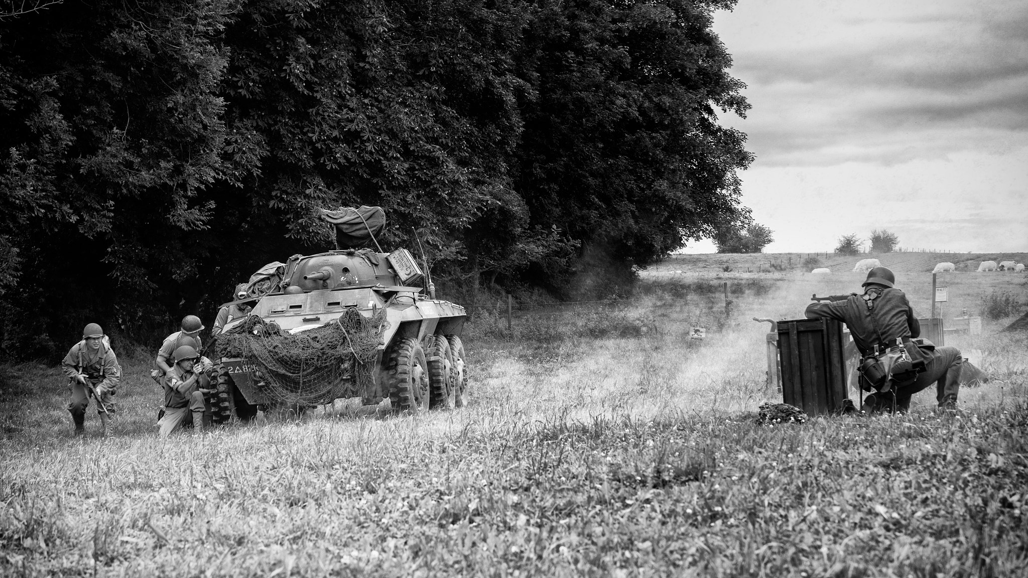 70-200mm F2.8 sample photo. La denière chance photography