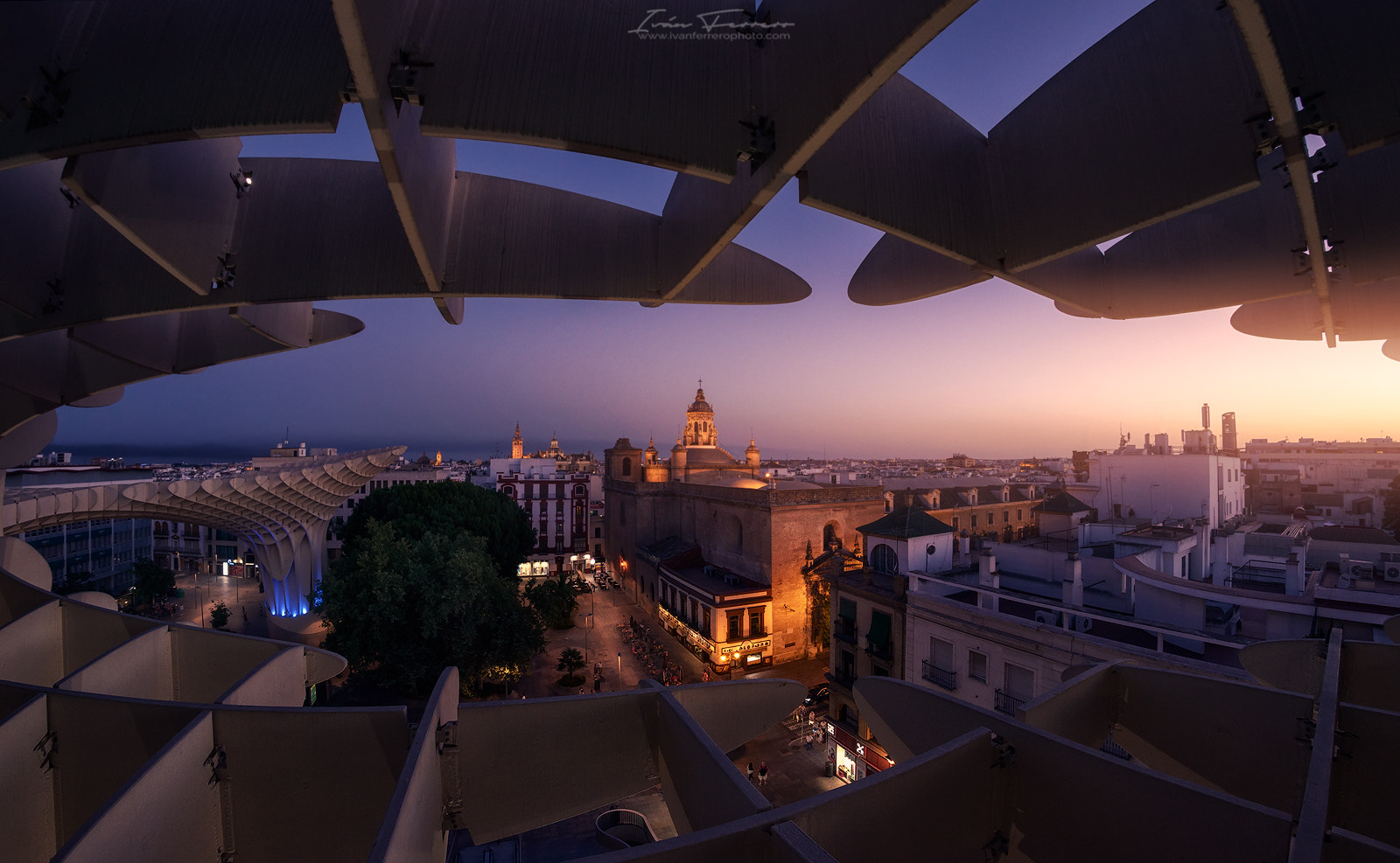 Samyang 12mm F2.8 ED AS NCS Fisheye sample photo. Setas sevillanas photography