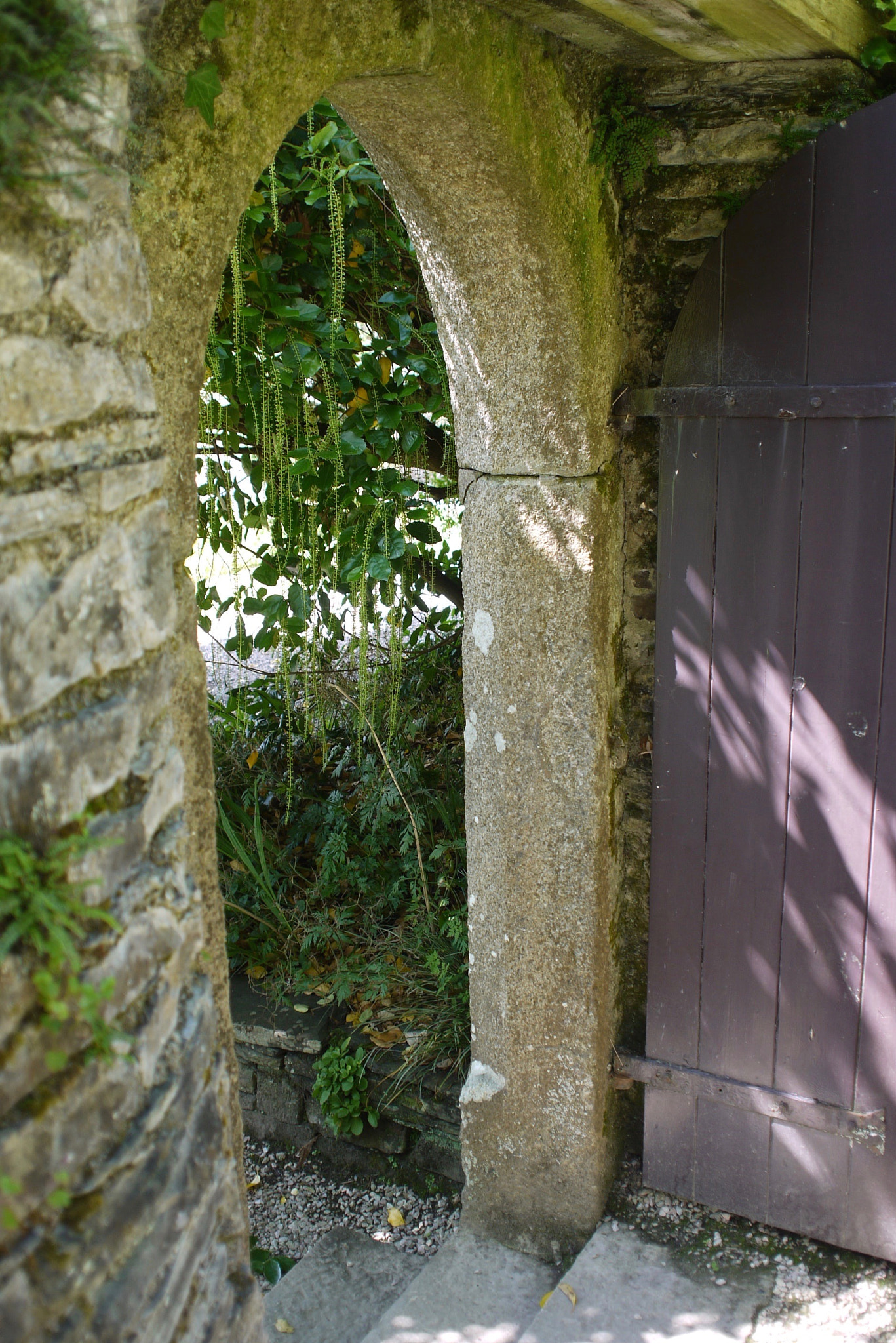 Panasonic Lumix DMC-G10 + Olympus M.Zuiko Digital 17mm F2.8 Pancake sample photo. Cotehele house garden photography