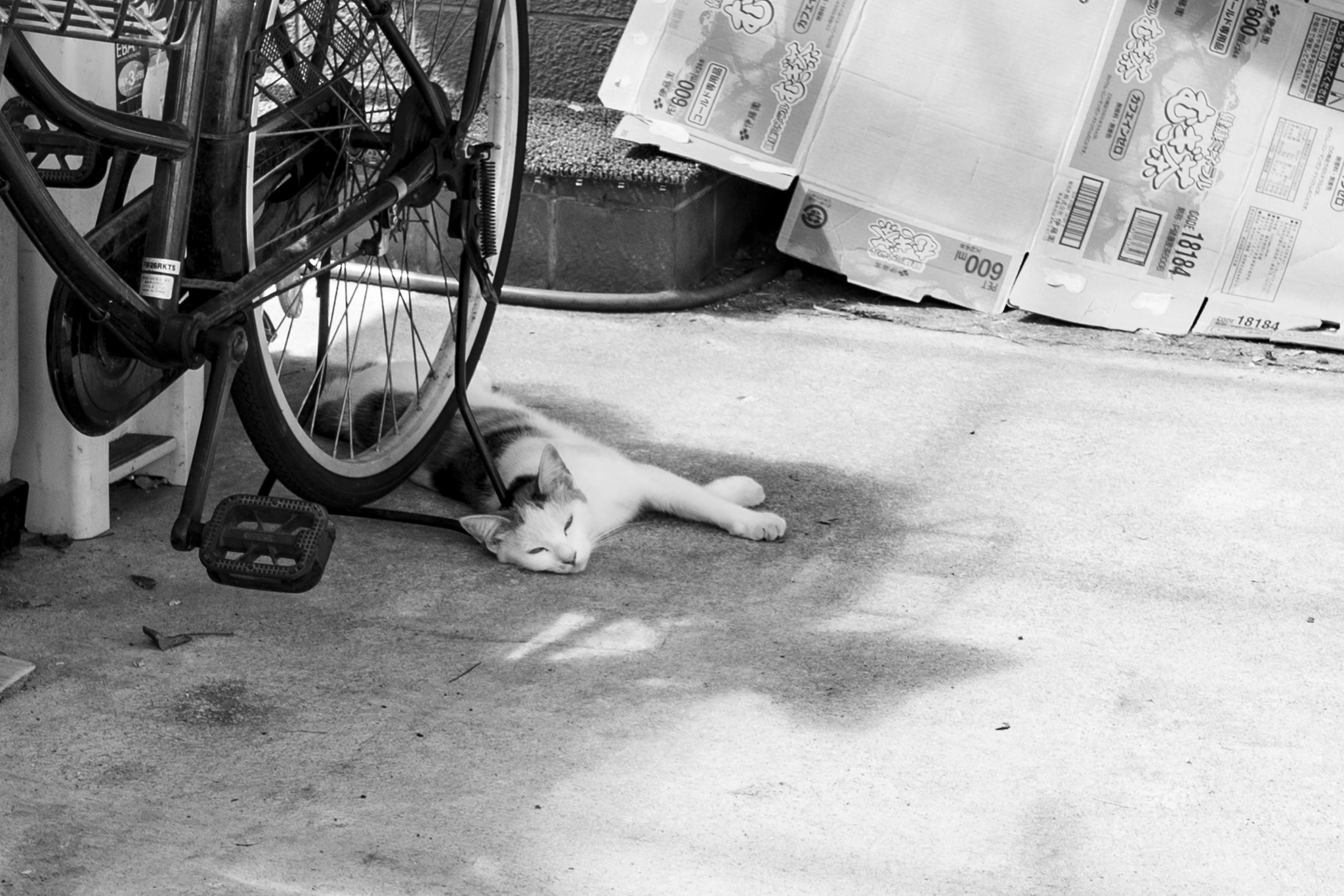 Pentax K-5 IIs sample photo. Really hot today photography
