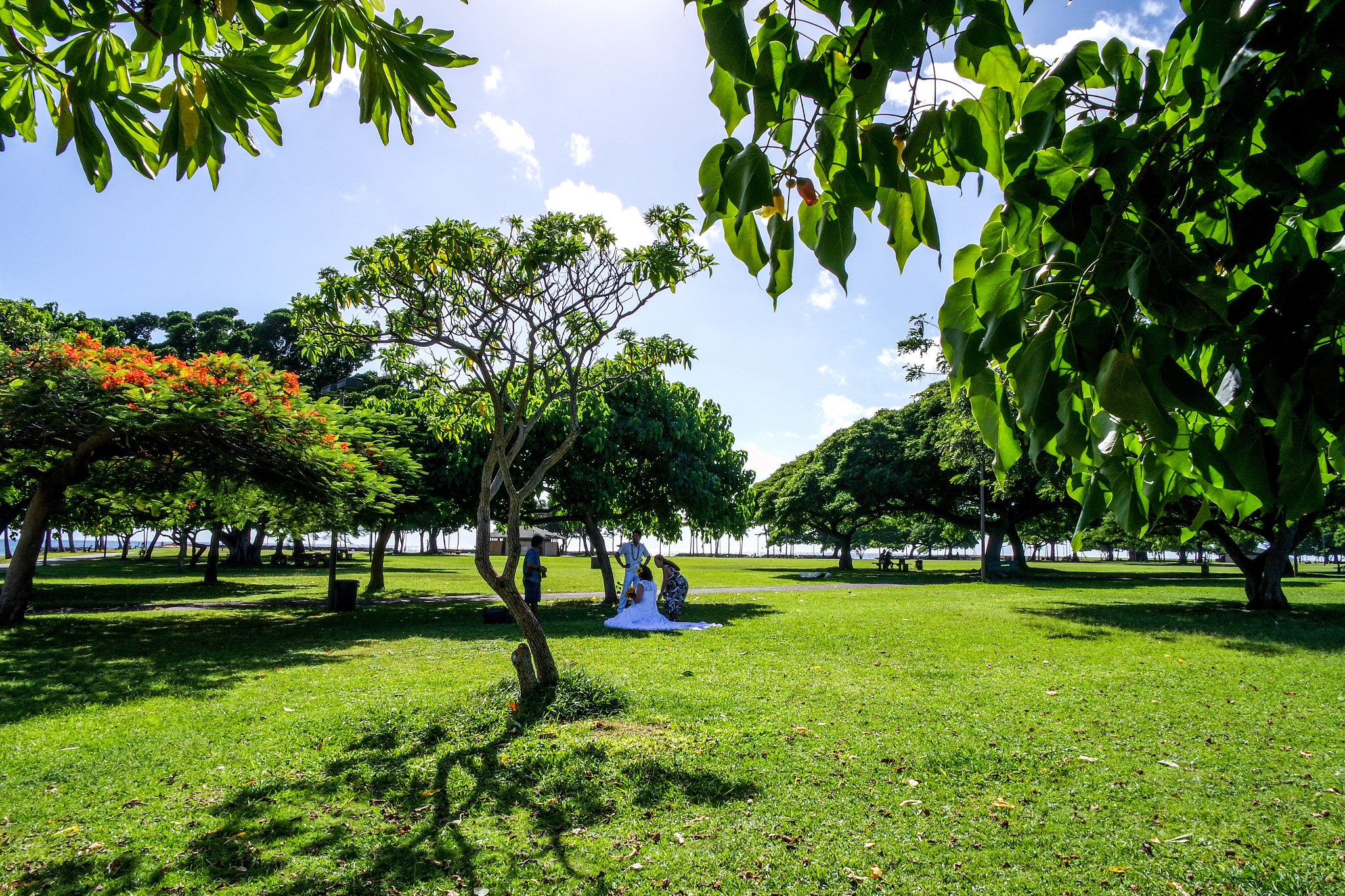 NX-M 9mm F3.5 sample photo. Magic island in hawaii photography