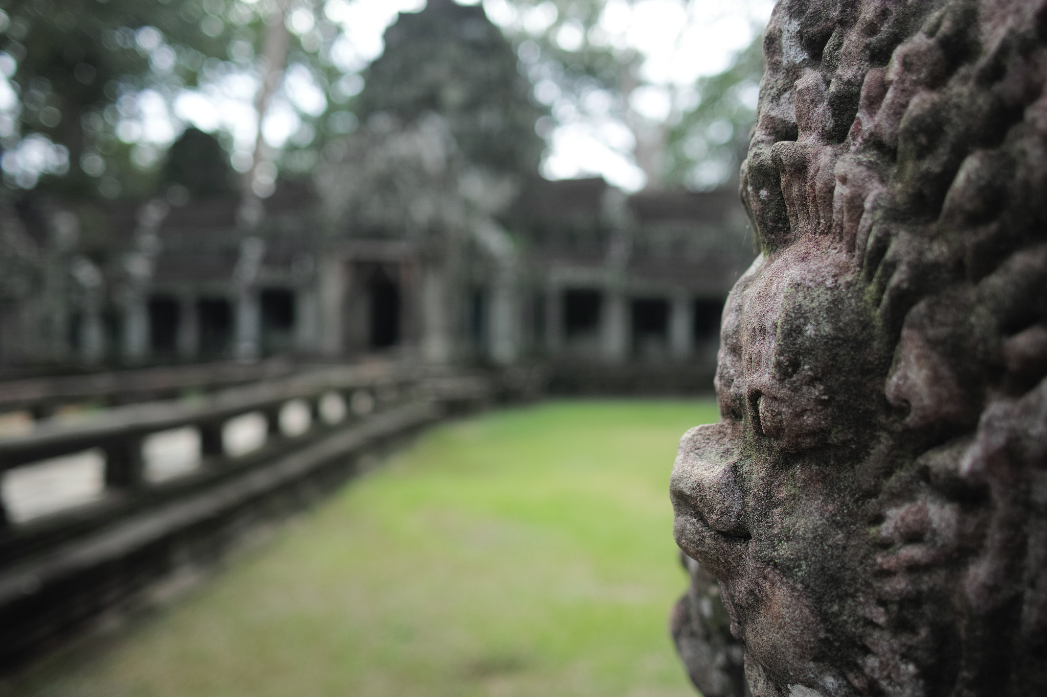 Sigma dp1 Quattro sample photo. Ta prohm photography