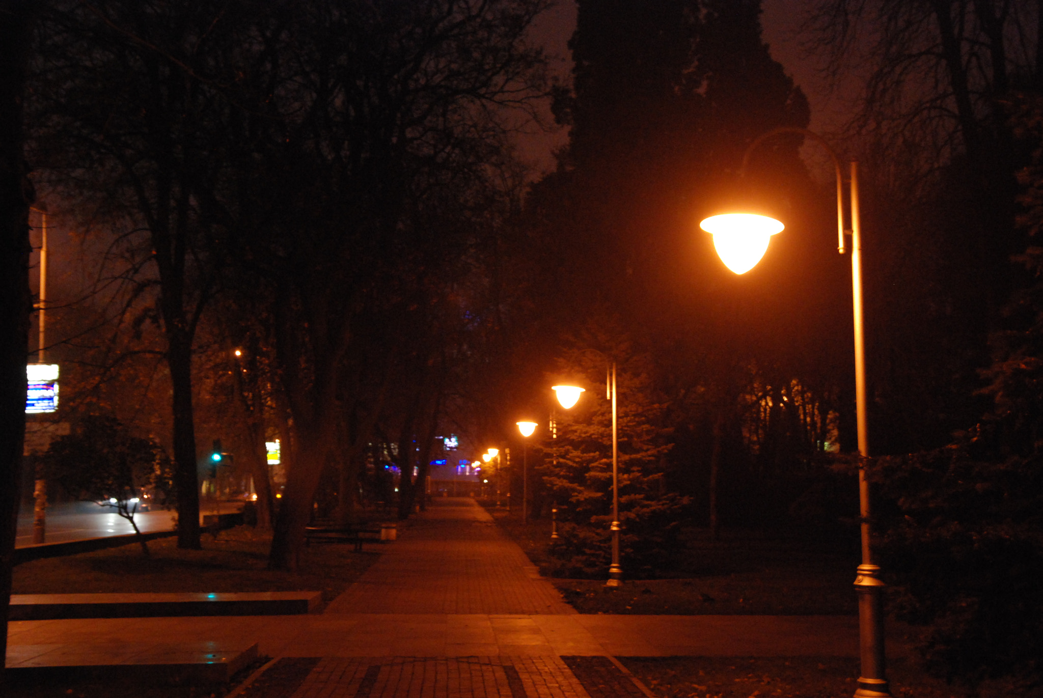 Nikon D80 sample photo. * * * photography