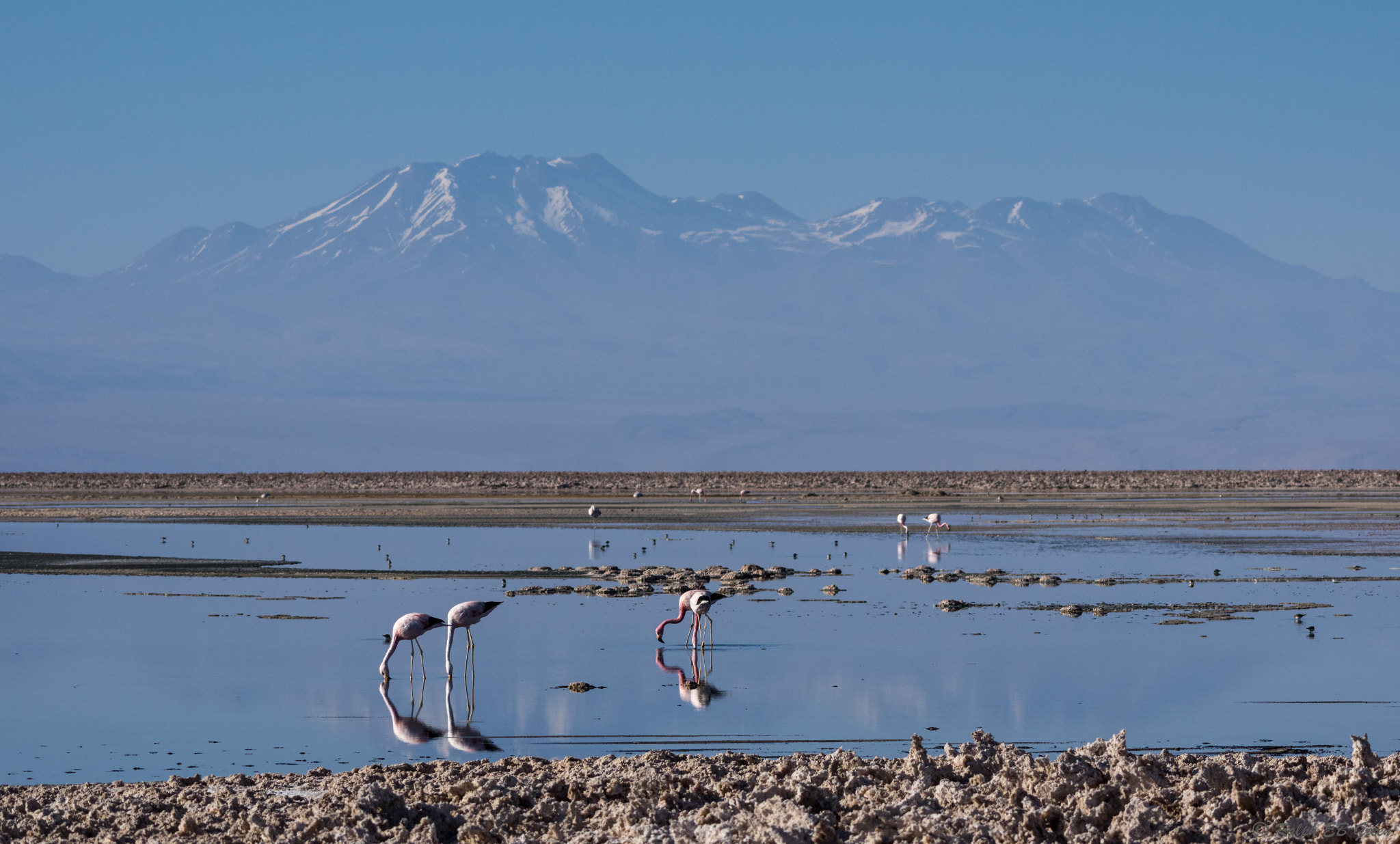Sigma 70-200mm F2.8 EX DG Macro HSM II sample photo. Salar de atacama photography