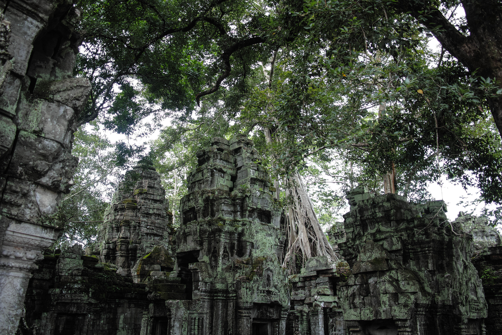 Sigma dp1 Quattro + 1006 sample photo. Ta prohm photography