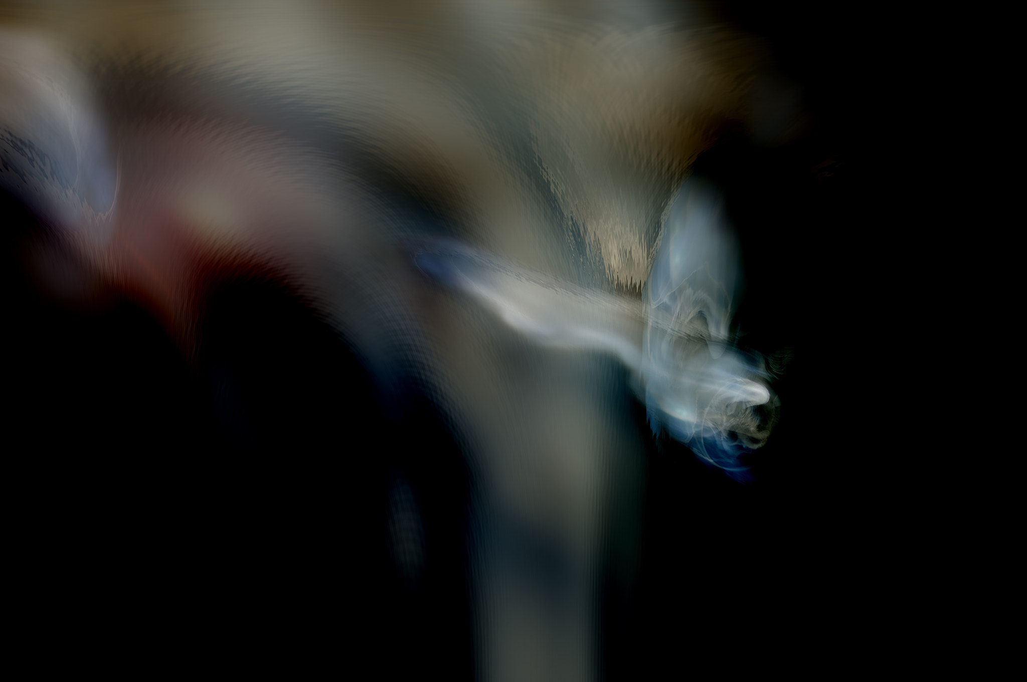 Sigma 105mm F2.8 EX DG OS HSM sample photo. Humo21 photography
